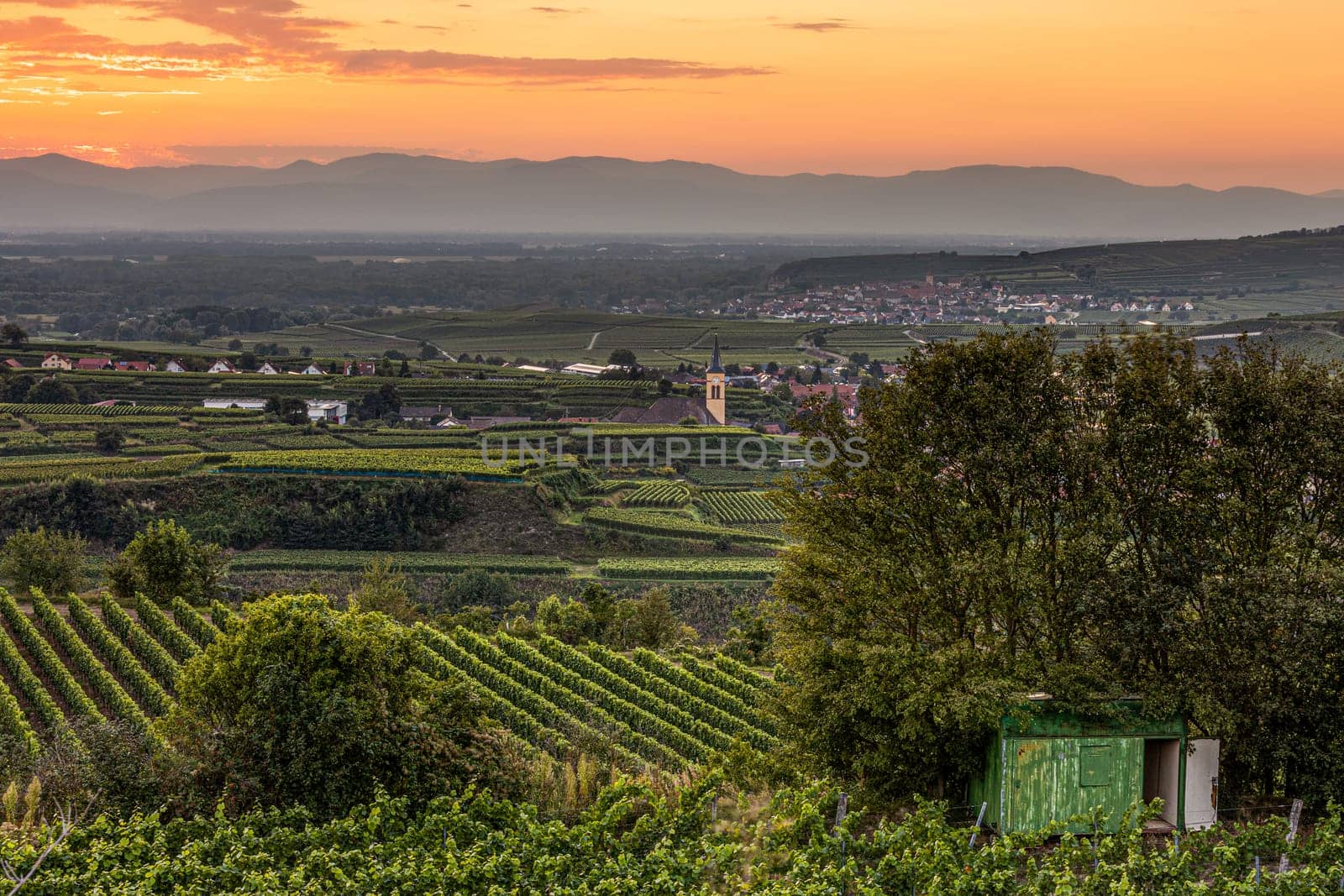 german village in the wine-growing region