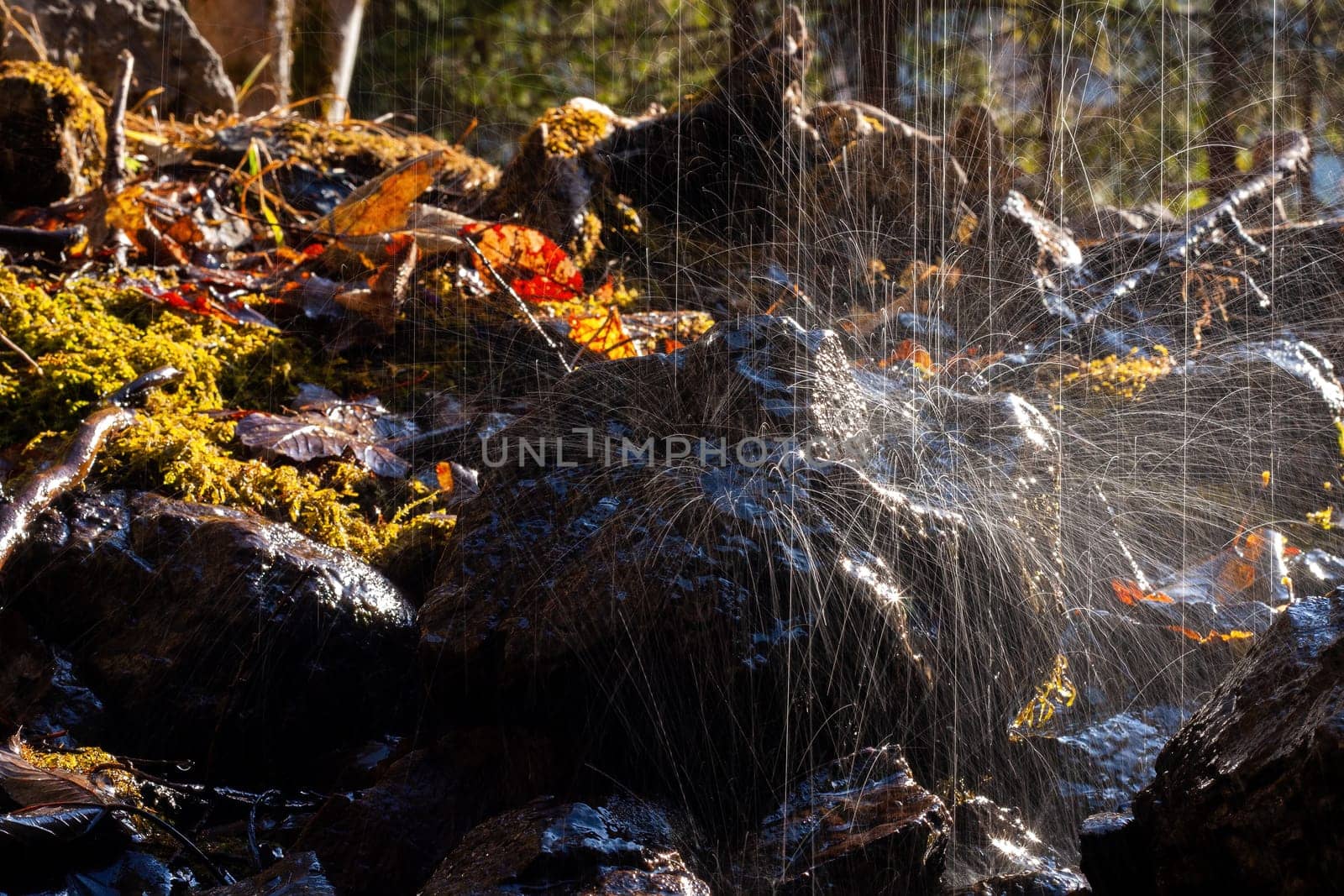 Rainstorm falling on stone in wilderness in sunlight. Waterdrops on rocks on sun with space for text. Sunny environment with shower fall in terrain.