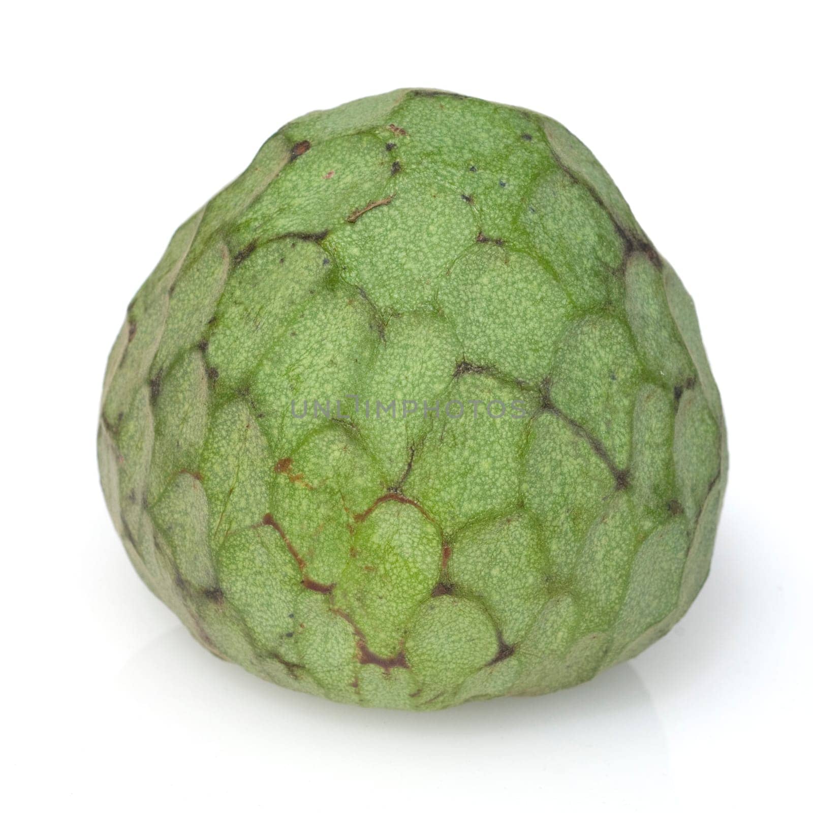 Cherimoja  Annona, cherimola
