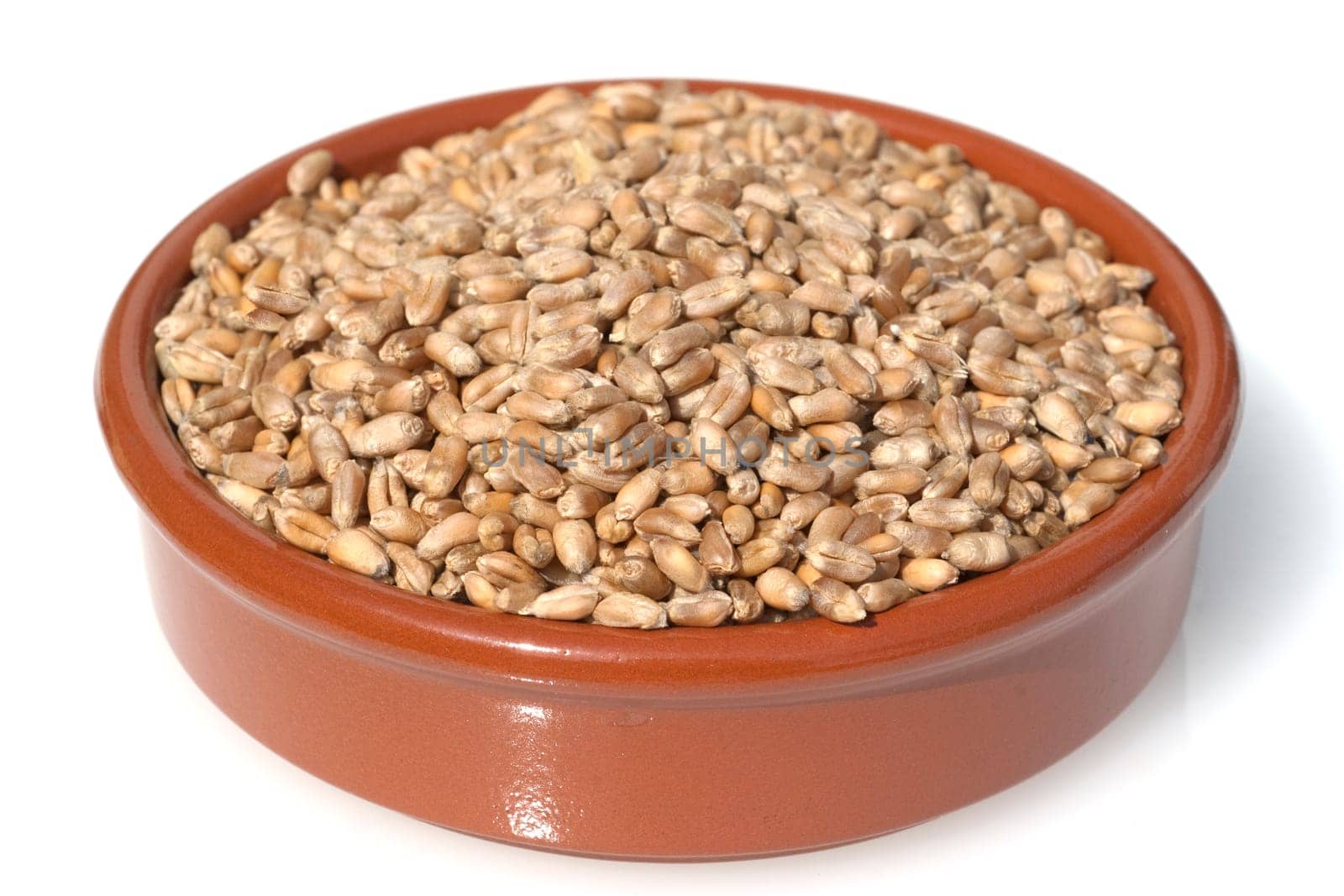 Triticale, Wintertriticale, Triticosecale, rimpauii