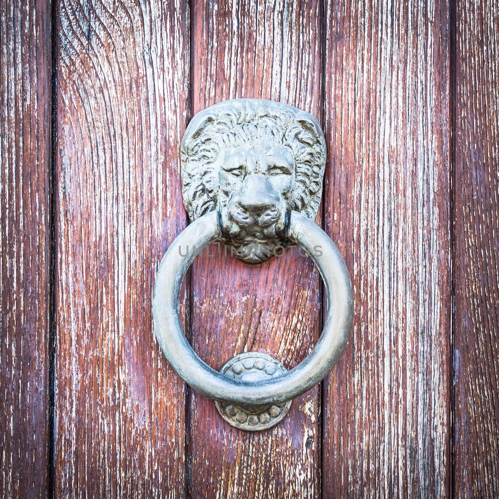 Lion head on wood. Particular of a knocker