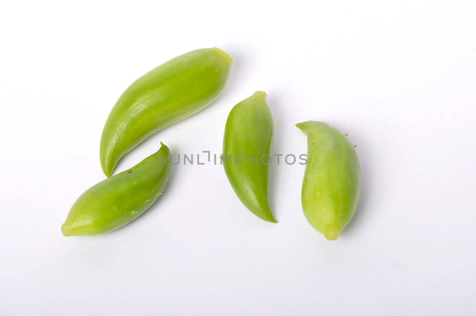 Achocha on a white background