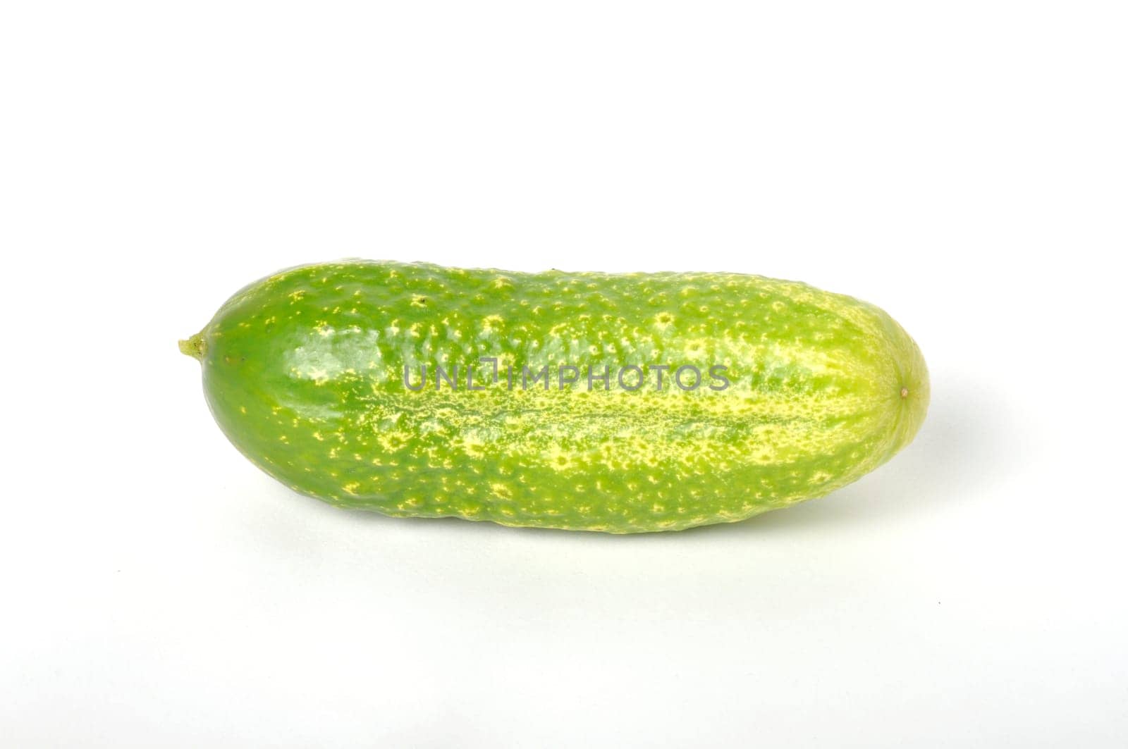 Small cucumber on a white background