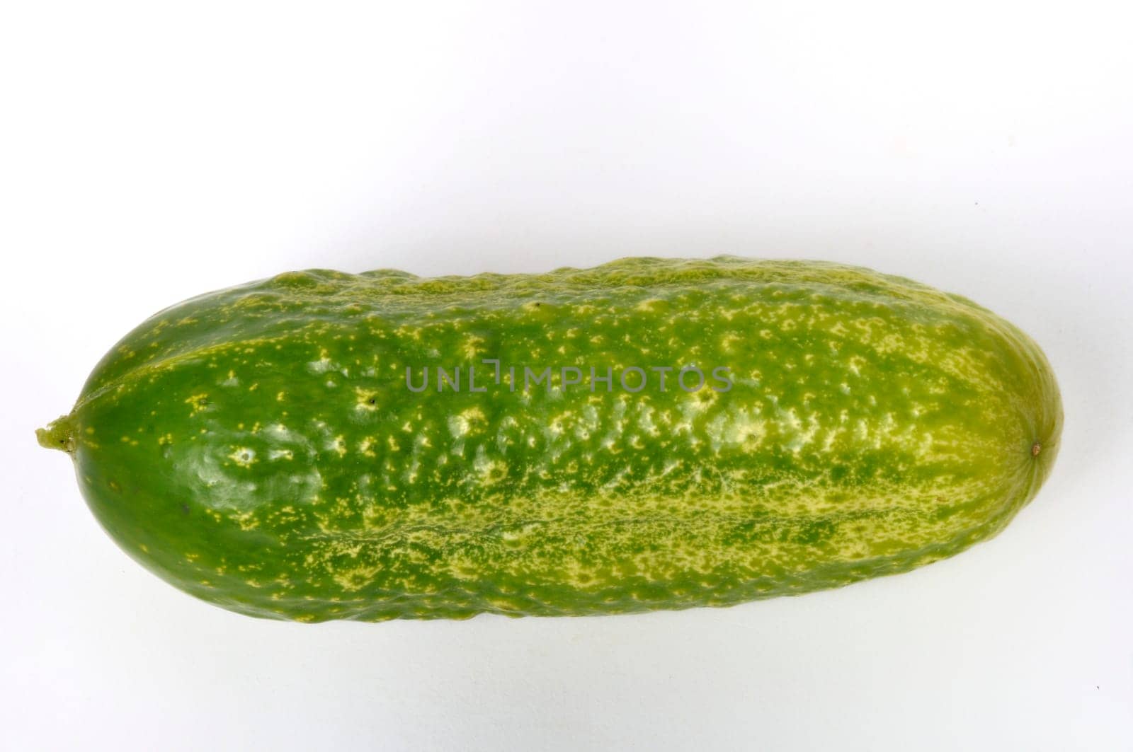 Small cucumber on a white background