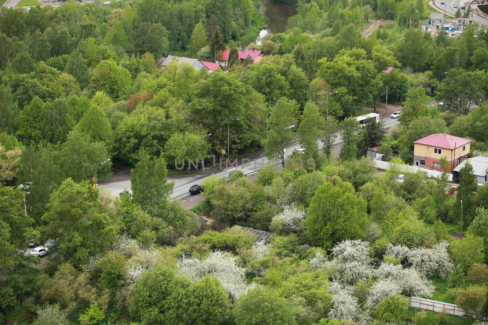 country road, green trees, rooftops aerial view