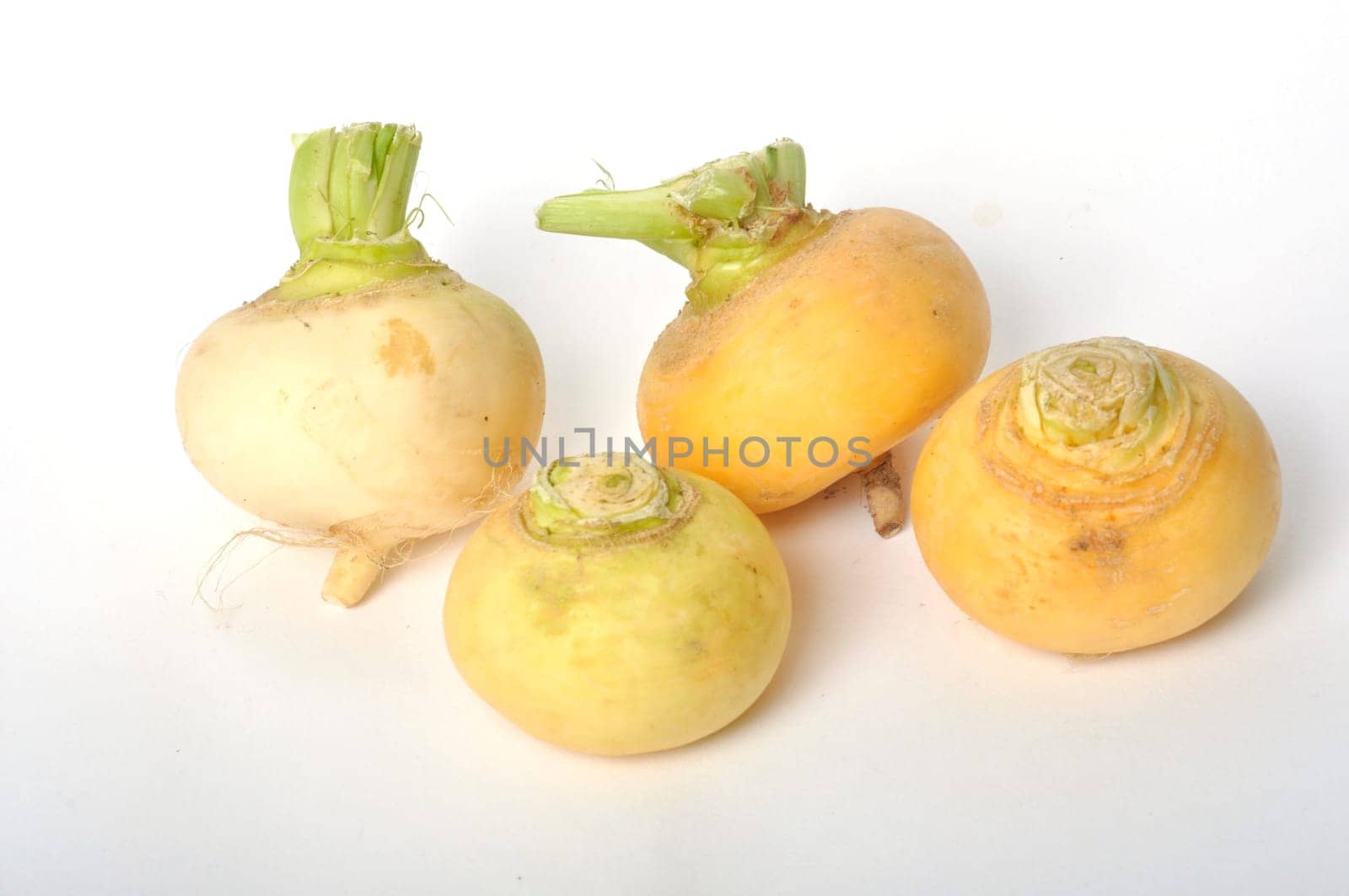 Young turnips on a white background