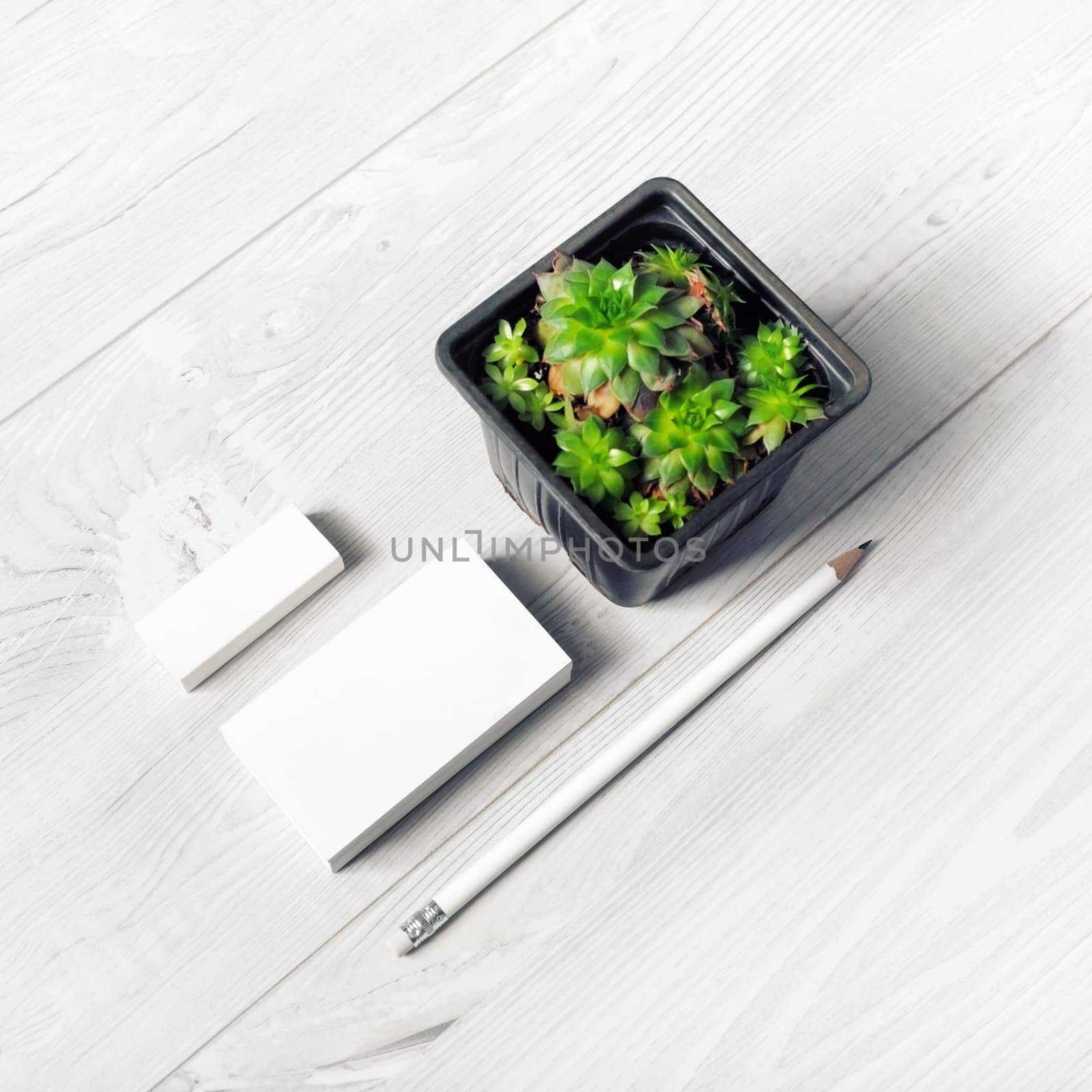 Blank business cards, pencil, eraser and succulent plant on light wooden background.