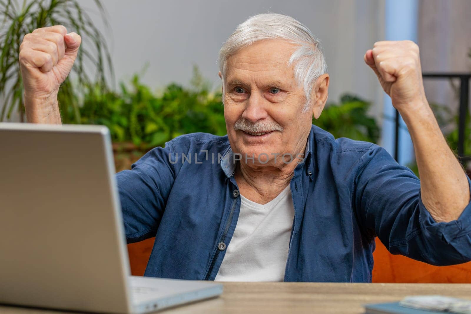 Happy senior old man at home couch with laptop scream in delight raise hands in triumph winner gesture celebrate success win money in lottery. Excited elderly mature grandfather get online good news