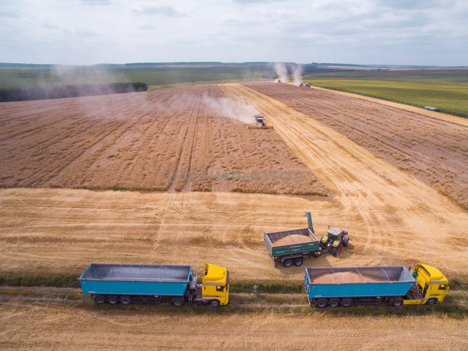 Harvesting in the field. Land cultivation.