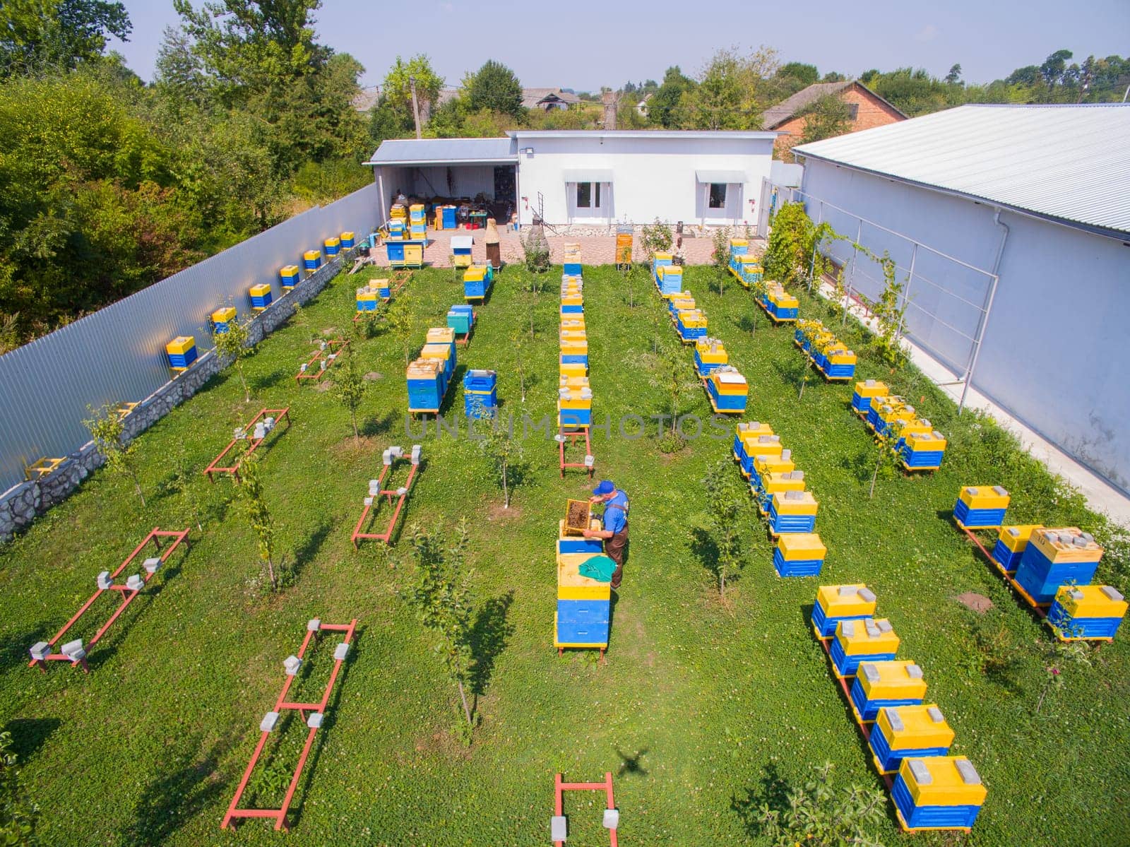 Aerial dron view of the Great Apiary. Many healthy families of honey bees. Industrial beekeeping.