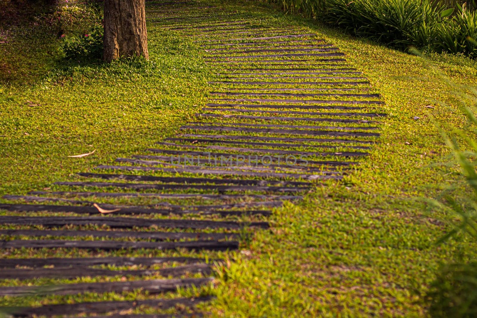 Curved Paver Path decoration landscape design, Walkway Through Grass field garden Walkway and Path.