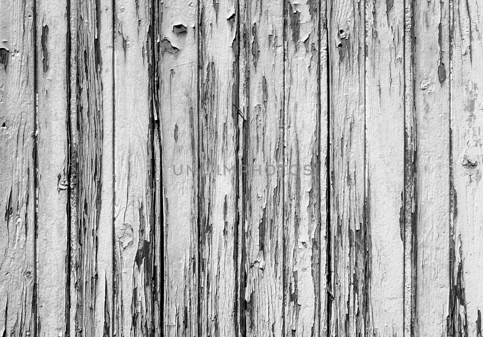 White wood texture background. Peeling paint.