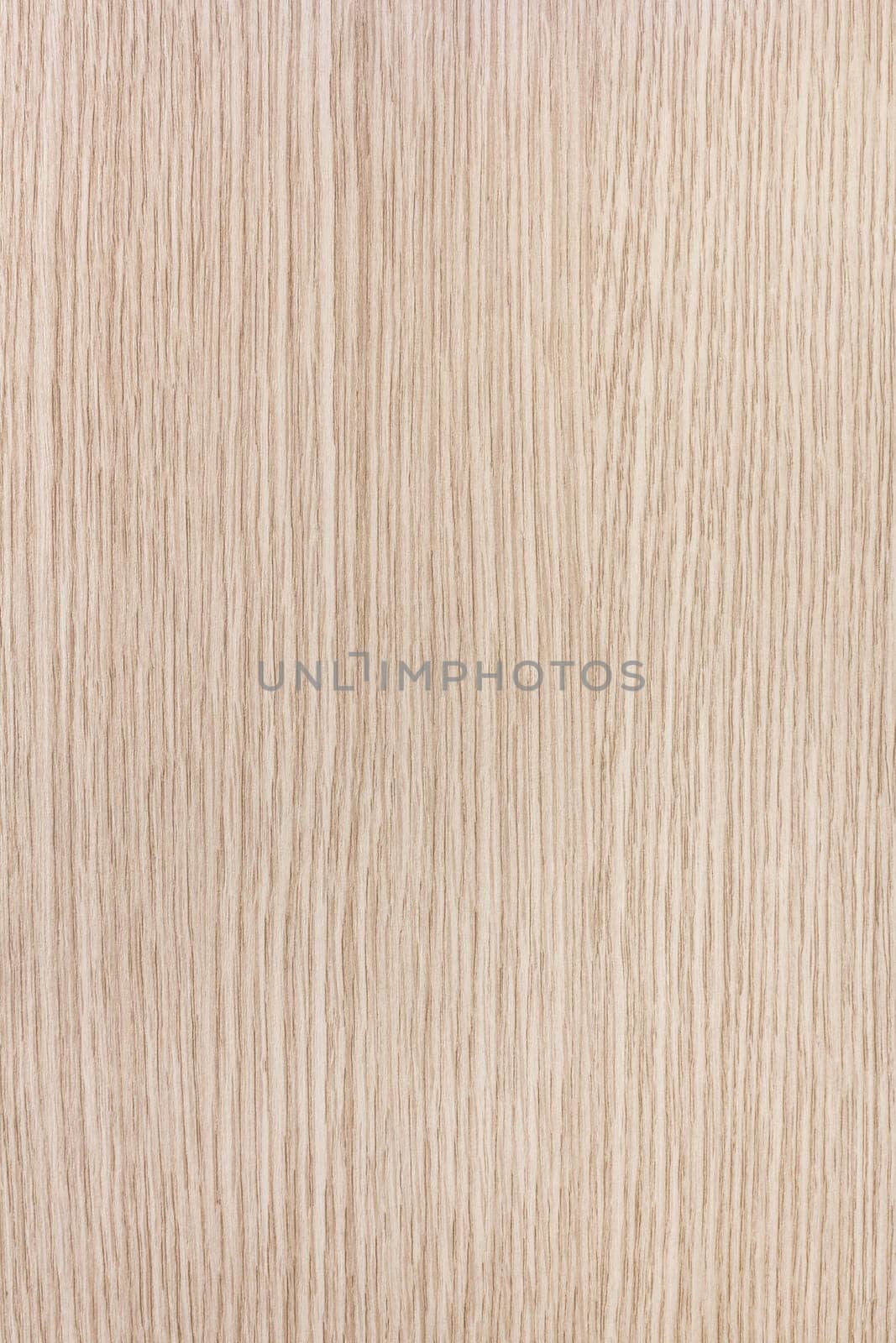 Wood plank texture. Ideal for texture and background.