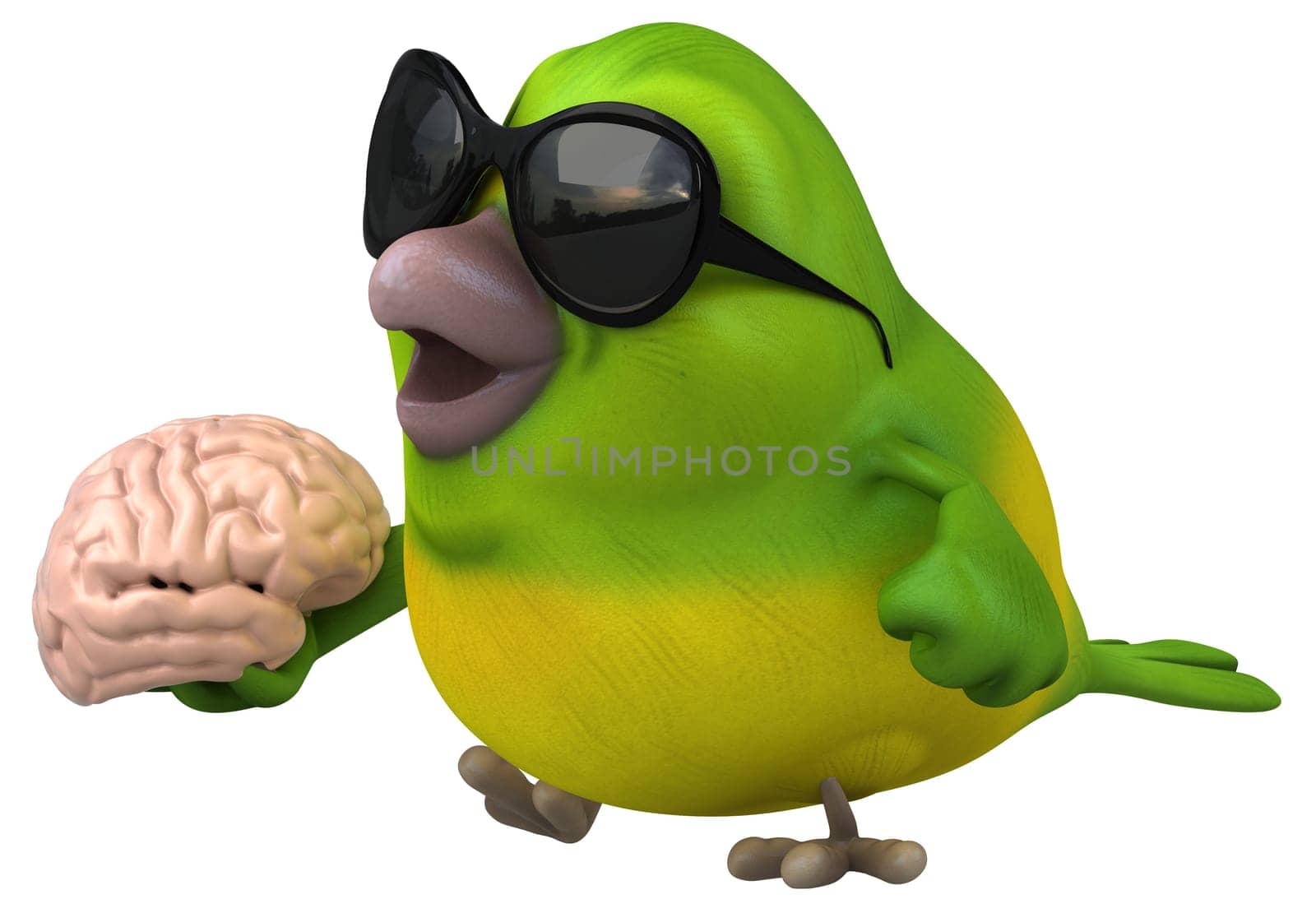 Fun green bird - 3D Illustration