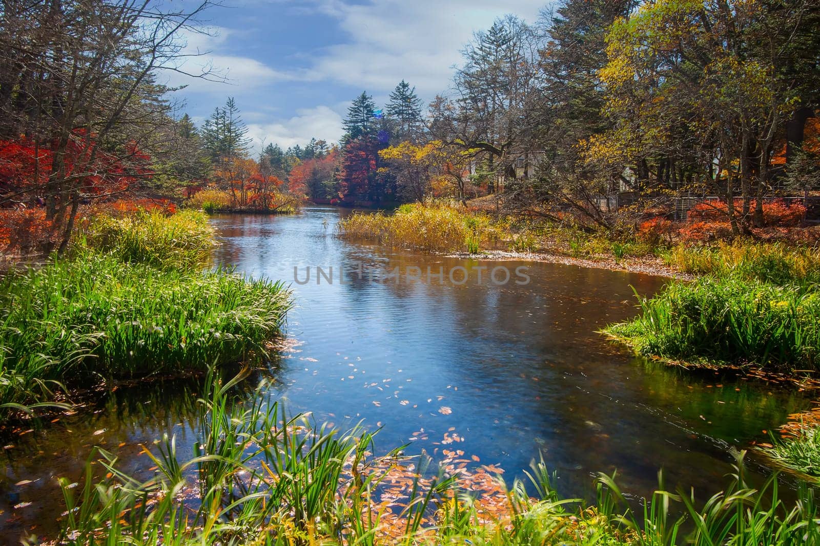 autumn leaves of Karuizawa Cloud Field Pond, Japan