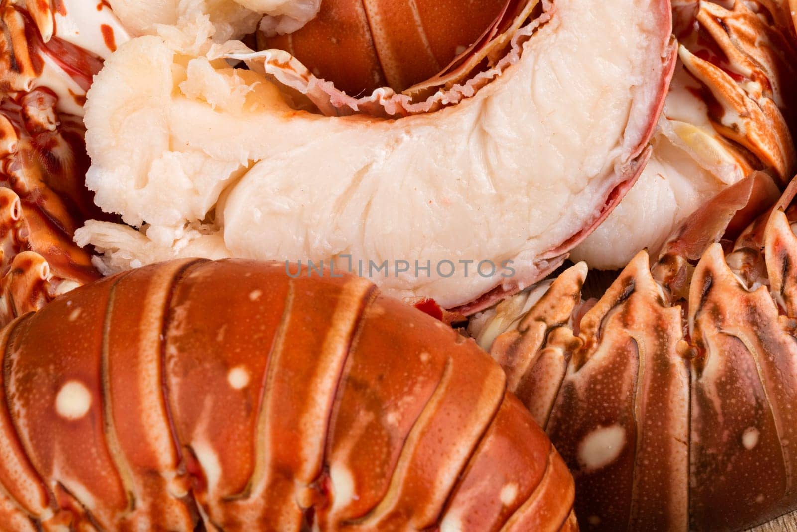 Fresh Lobster in the market