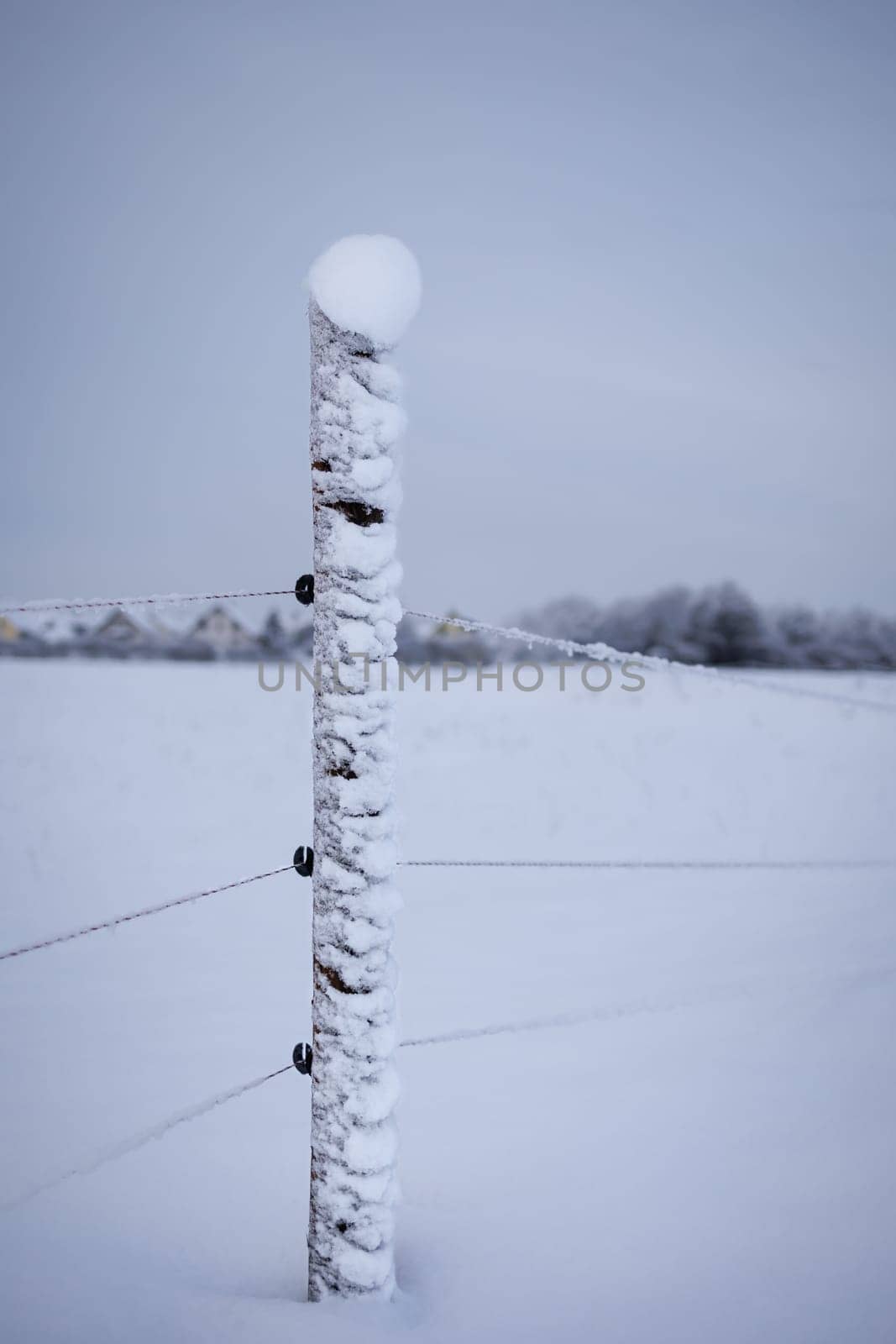 wooden fence in winter