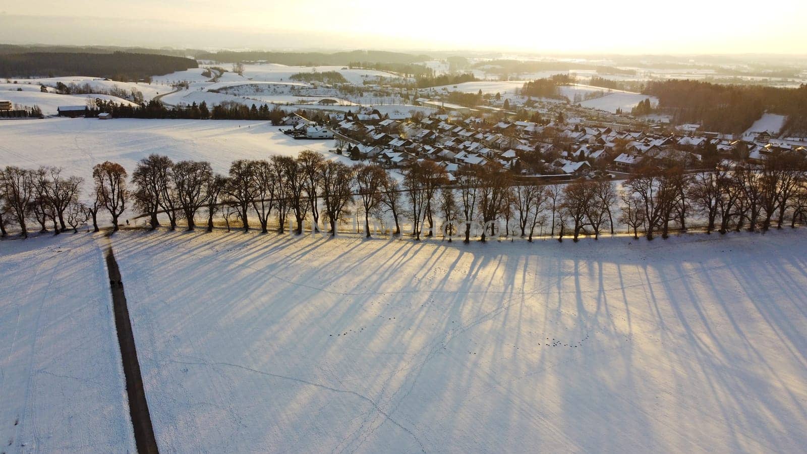 Aerial drone shot of avenue with trees in winter sunset