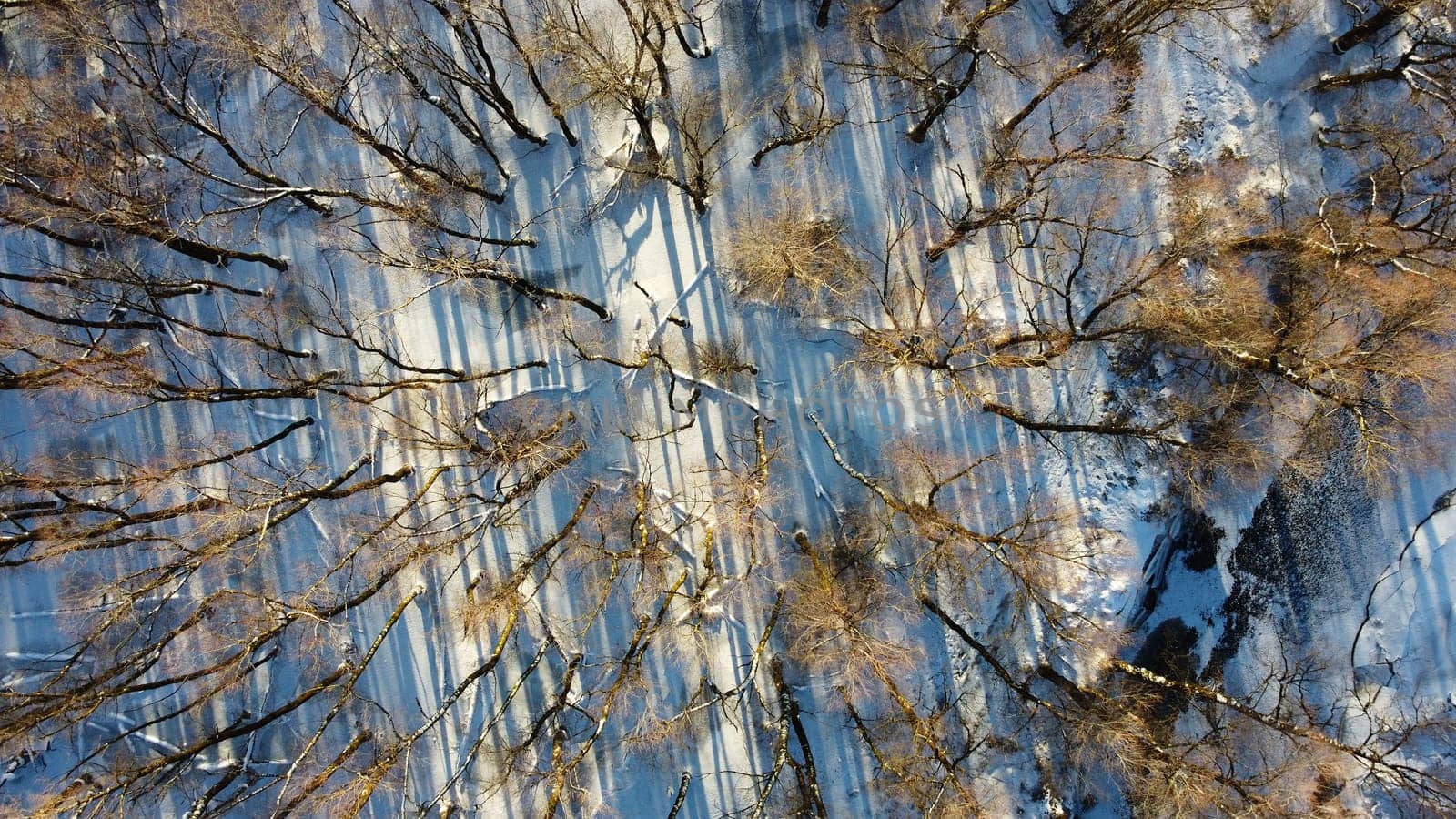 Aerial shot with drone of snowy deciduous forest with stream in winter