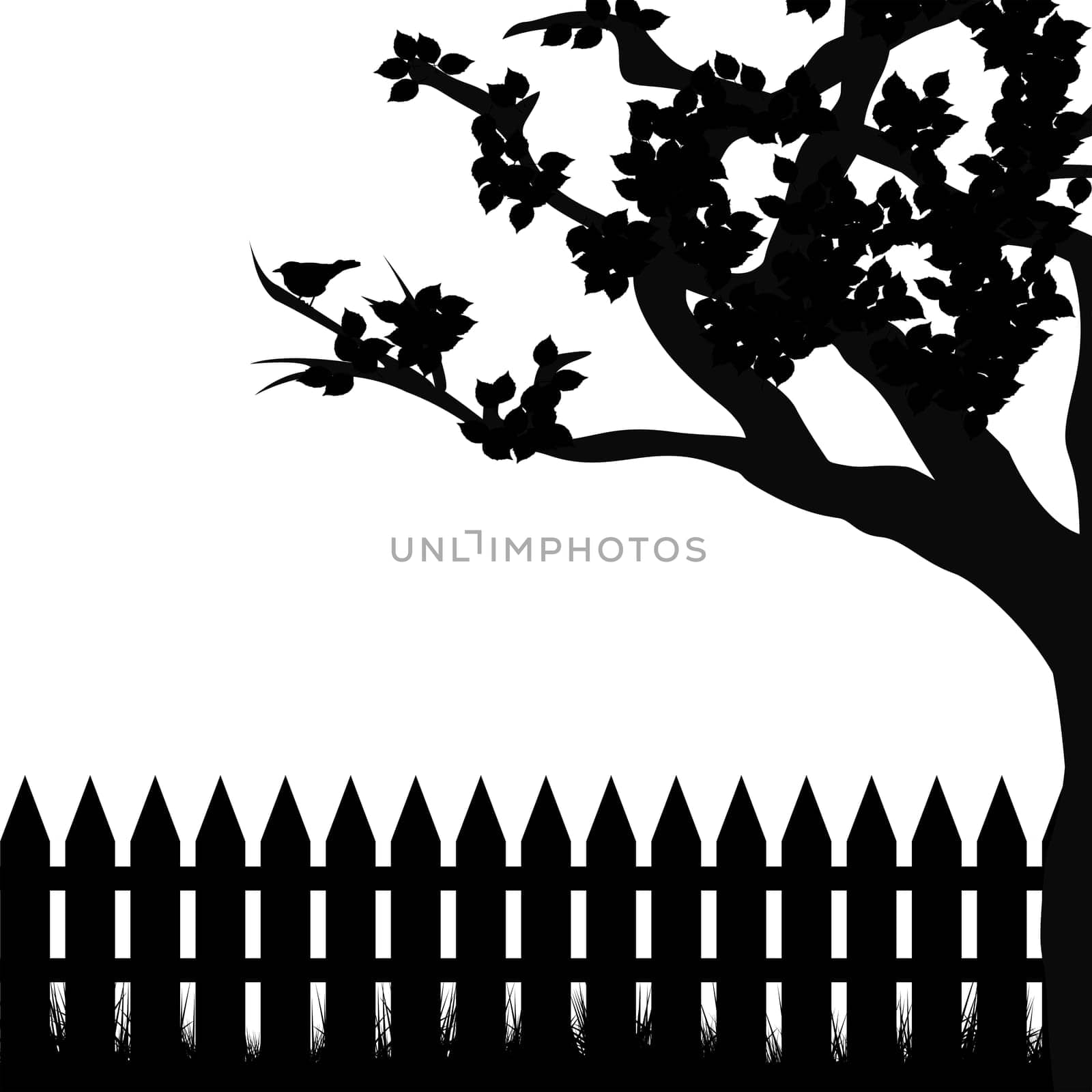 Silhouette of tree and fence