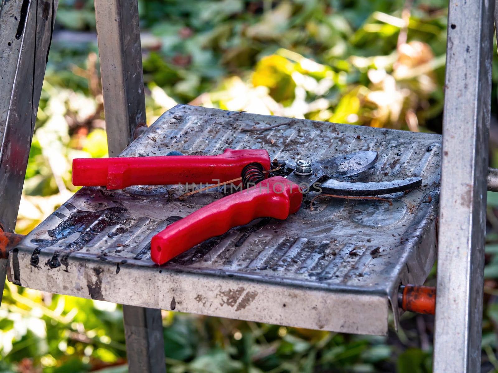 Garden shears for cutting branches of trees and bushes. Gardener's tool scissors. Garden equipment. Cutting branches of trees and bushes. Agriculture. Farmer's hand tool.
