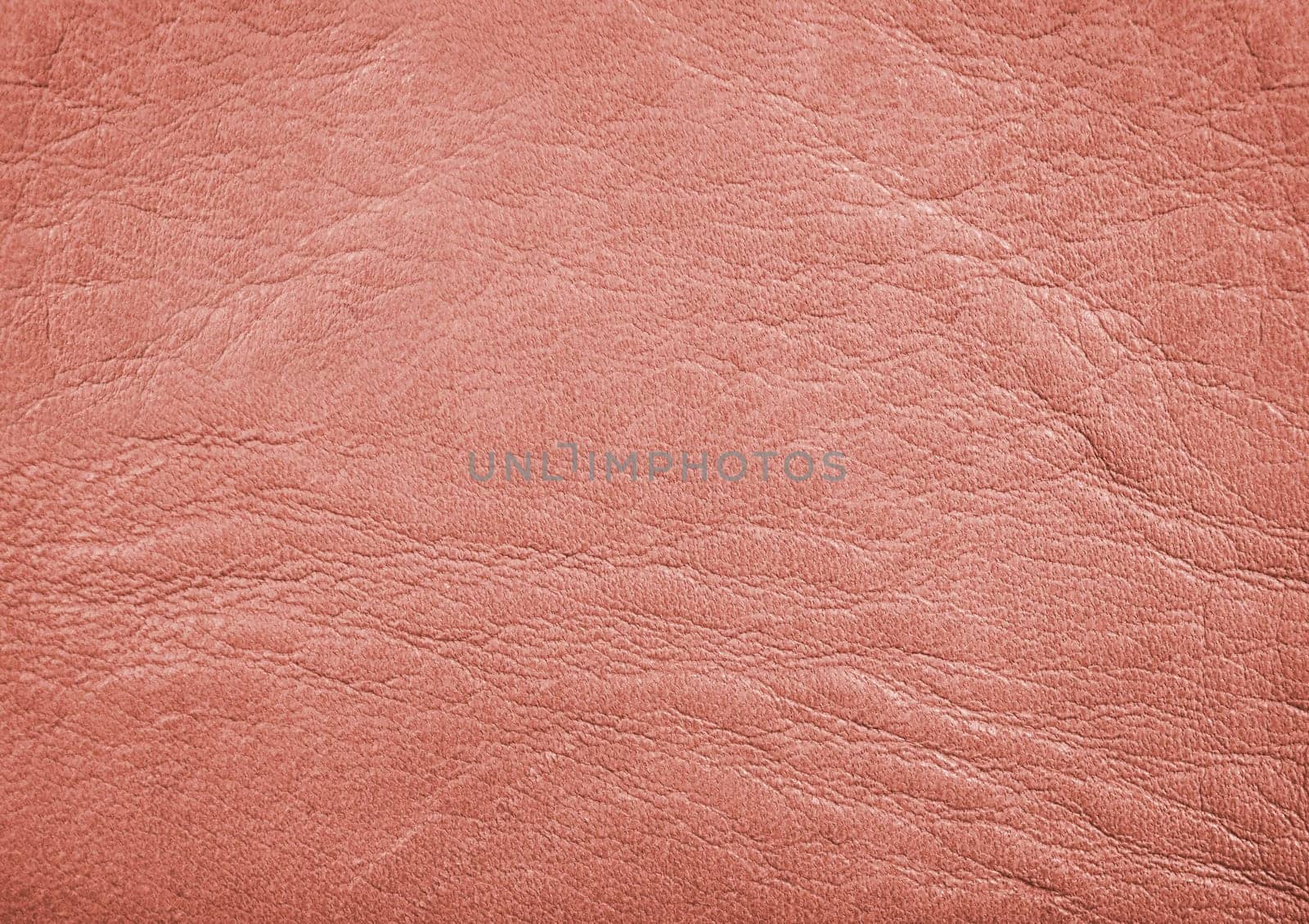 Leather Texture by hitdelight
