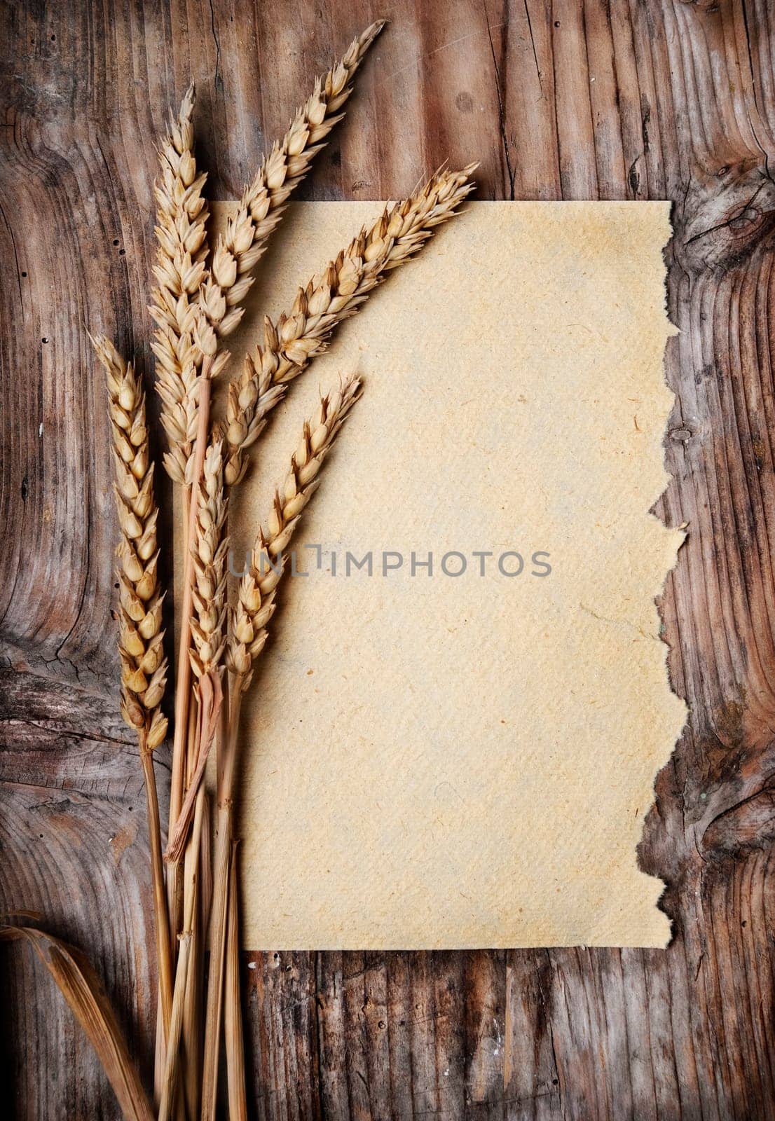 Wheat ears and vintage paper on wooden plank