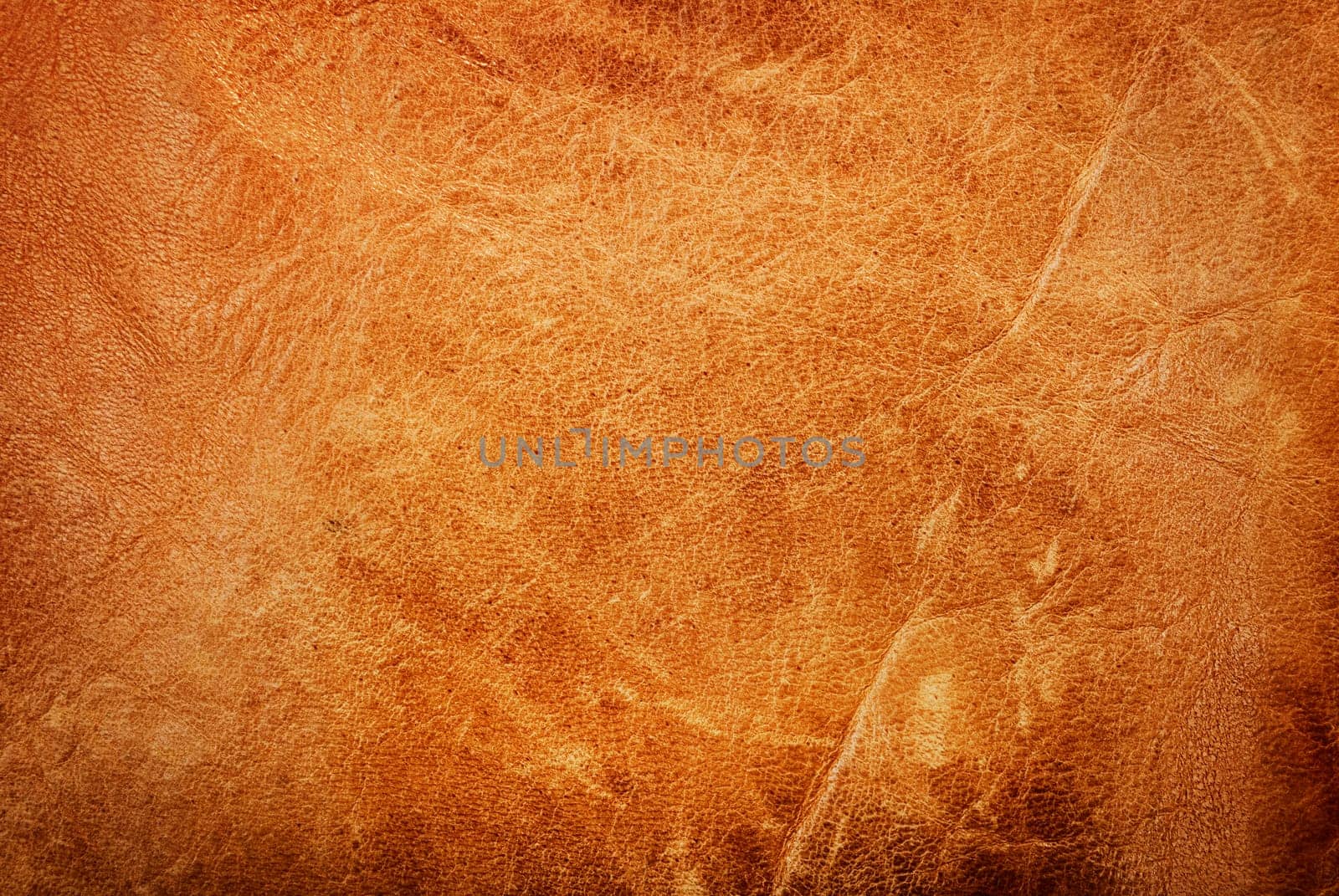 Leather Texture by hitdelight
