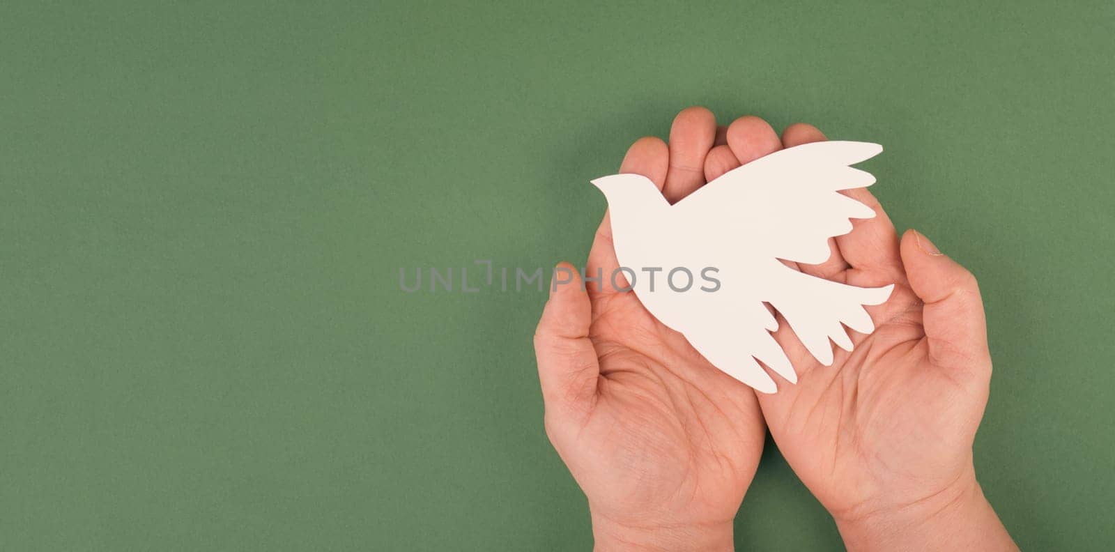 Holding a white dove in the hands, symbol of peace, paper cut out, copy space for text