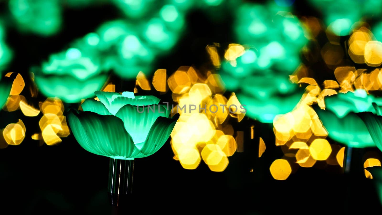 Rose background. Rose lanterns, part of Beauty and the Beast installation at Festival of Light.