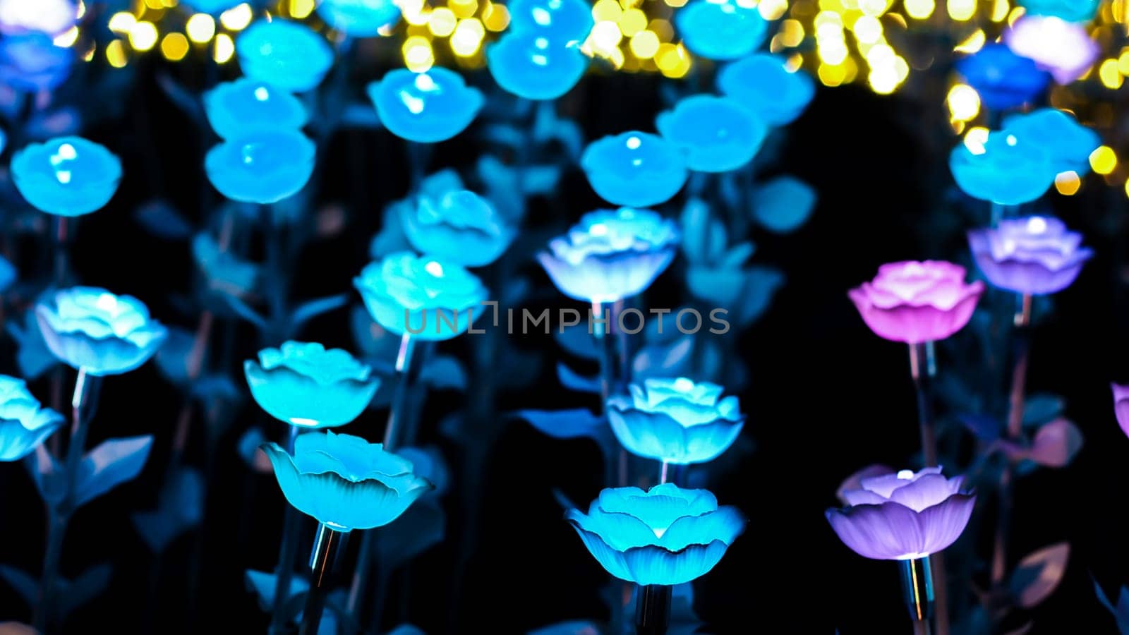Rose background. Rose lanterns, part of Beauty and the Beast installation at Festival of Light.
