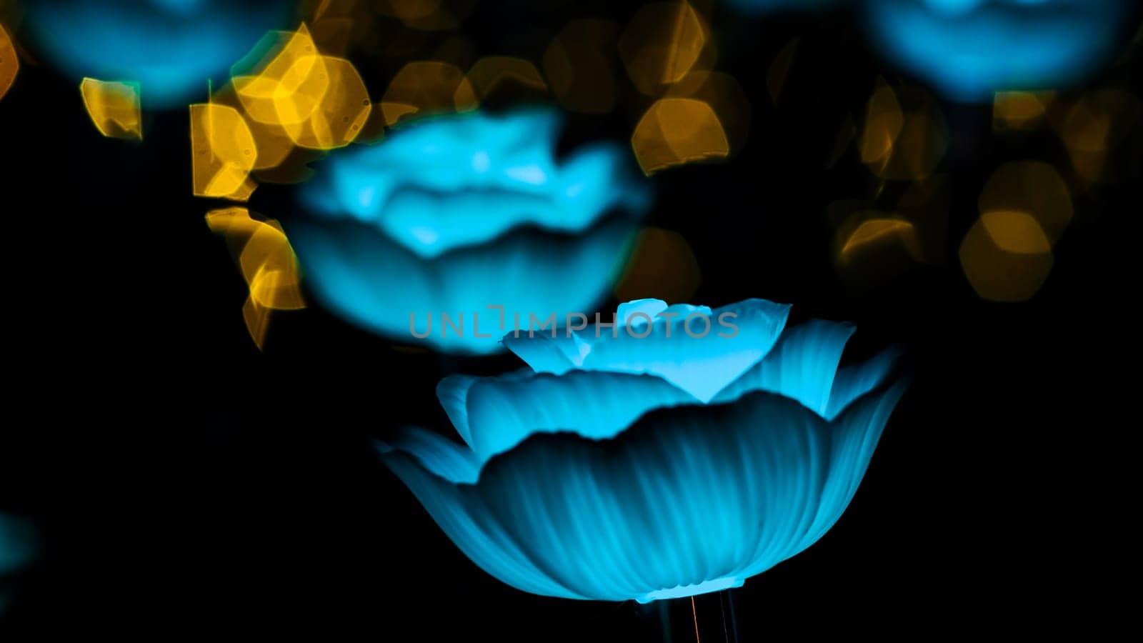 Rose background. Rose lanterns, part of Beauty and the Beast installation at Festival of Light.