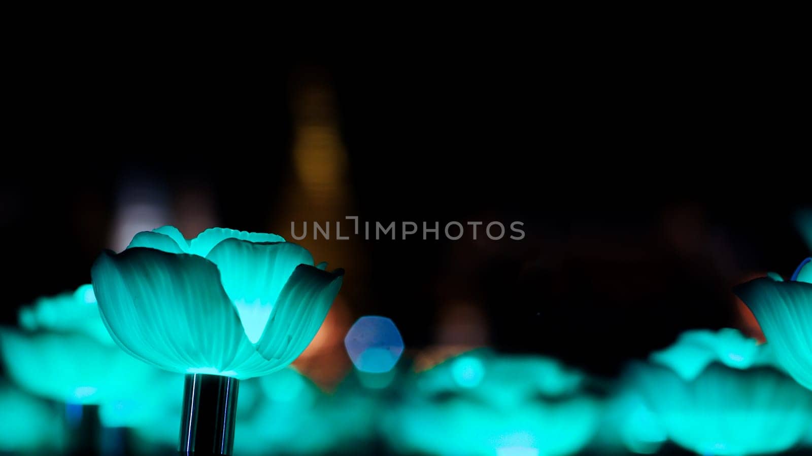 Rose background. Rose lanterns, part of Beauty and the Beast installation at Festival of Light.