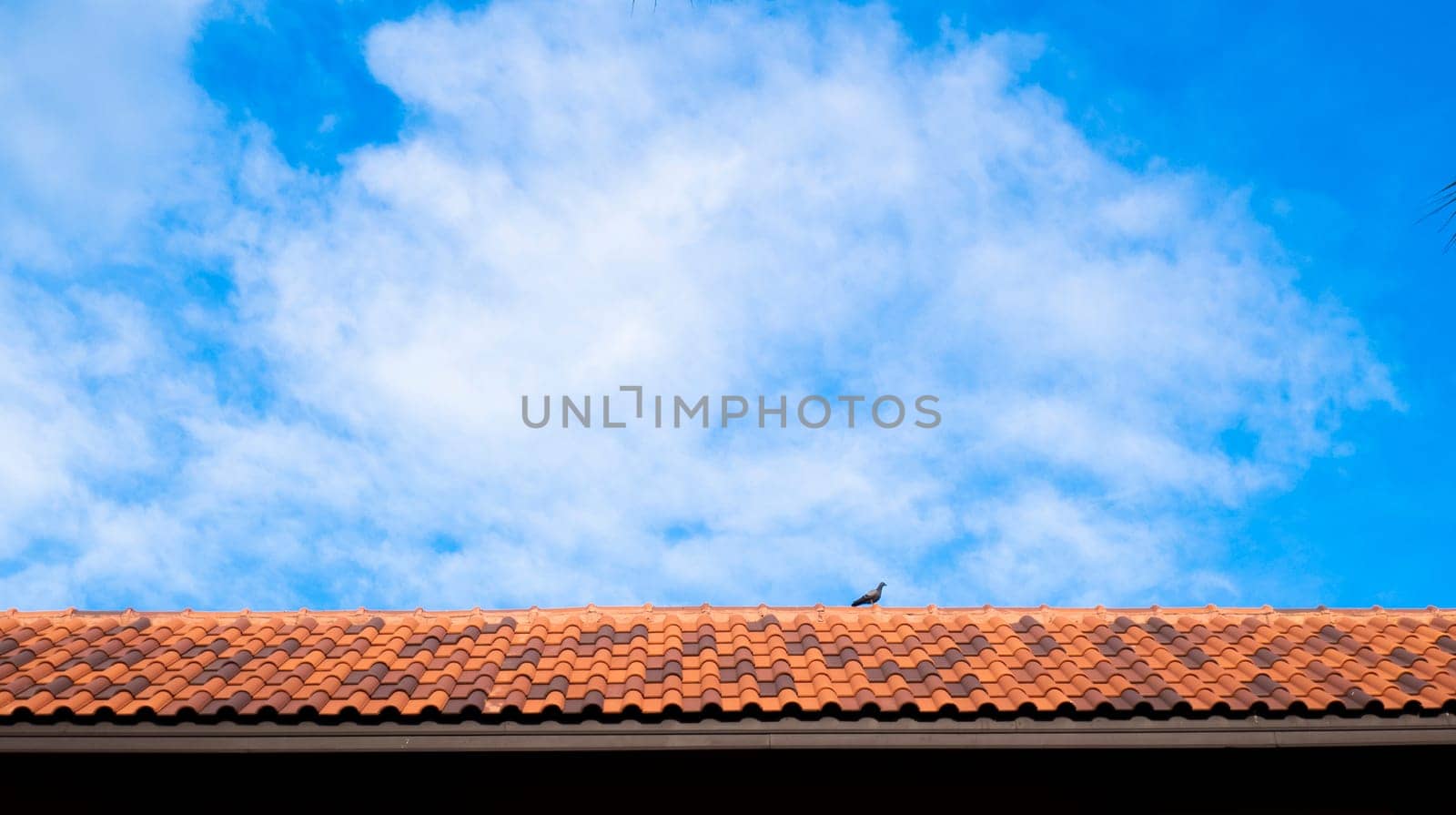 roof top on sky background. Close up of brown clay roof tiles. Red old dirty roof. Old roof tiles. Close-up aerial view of the traditional red Mediterranean roofs with blue summer sky in the old town