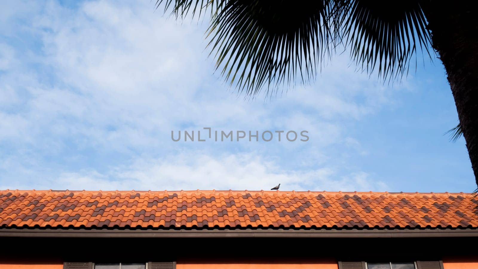 roof top on sky background. Close up of brown clay roof tiles. Red old dirty roof. Old roof tiles. Close-up aerial view of the traditional red Mediterranean roofs with blue summer sky in the old town