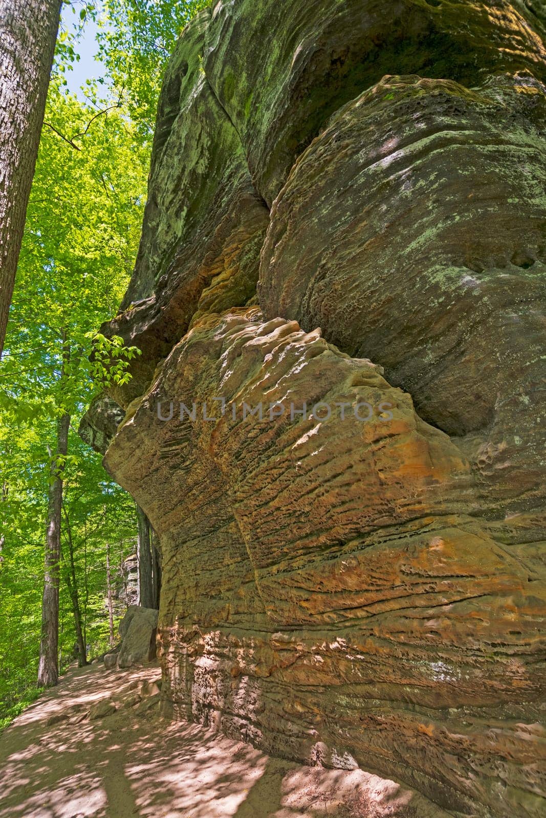 Hiking Trail Along Dramatic Forested Ledges in Cuyahoga Valley National Park in Ohio