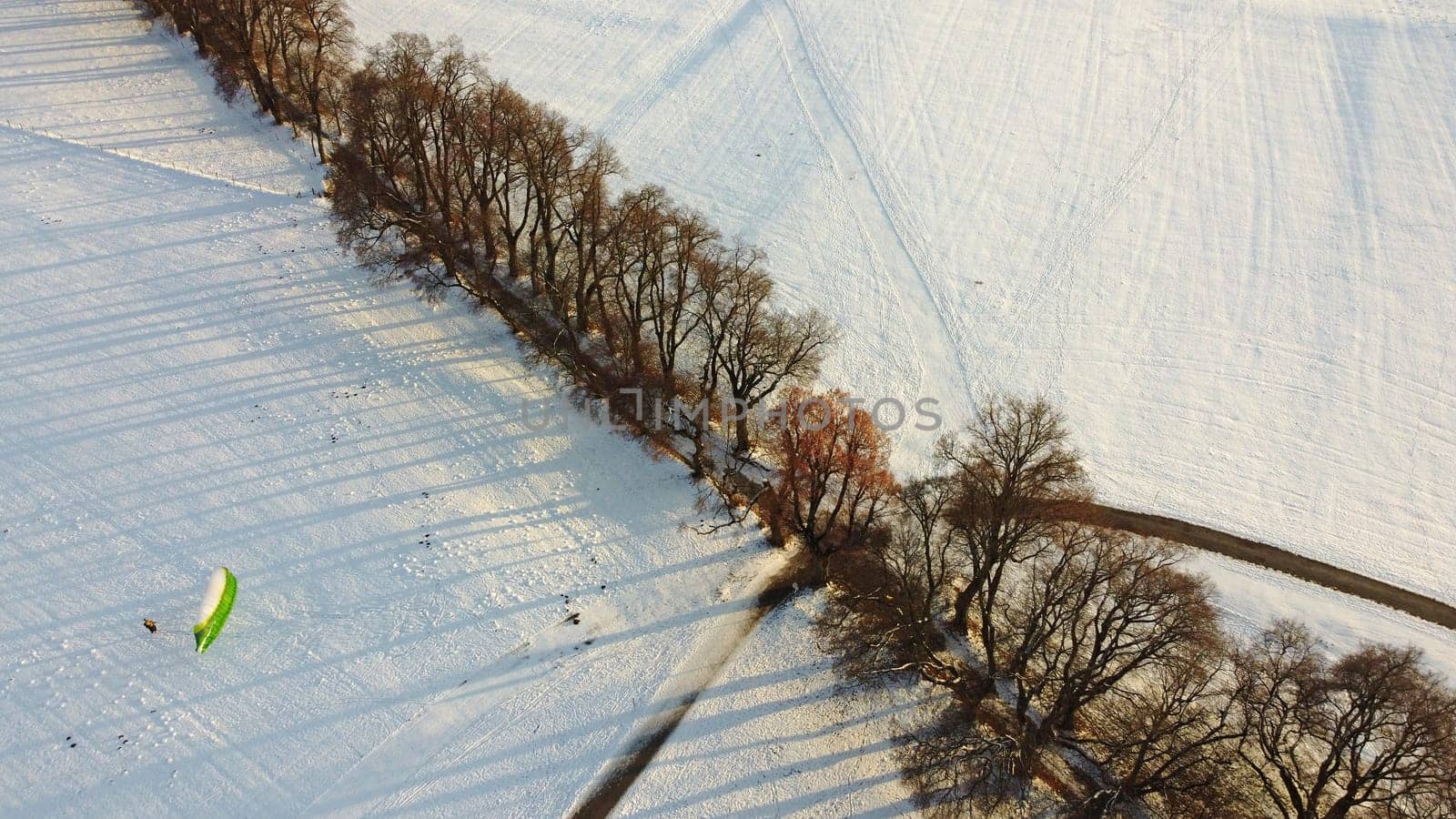 Aerial shot with drone of avenue with trees and paraglider in winter