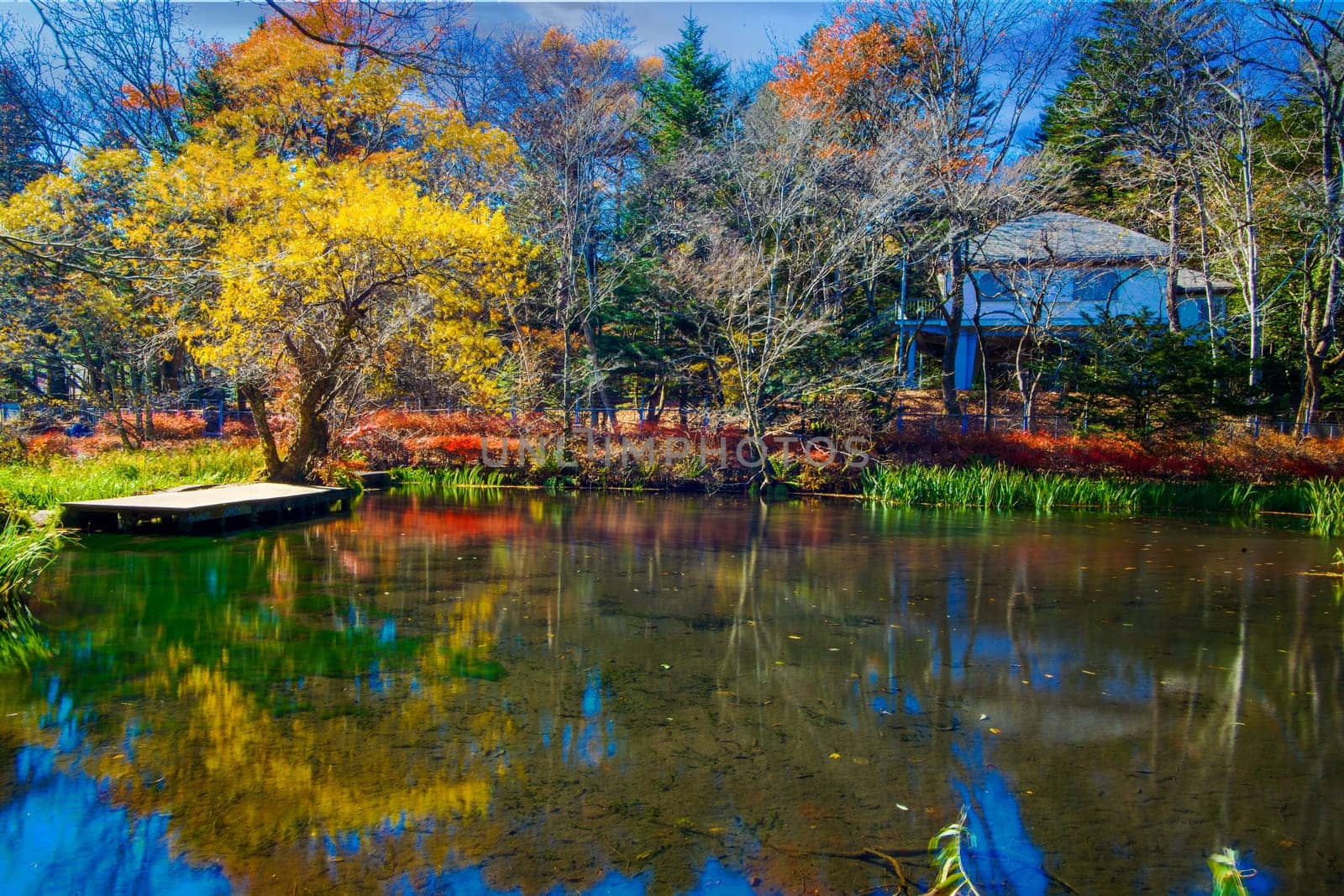 autumn leaves of Karuizawa Cloud Field Pond, Japan