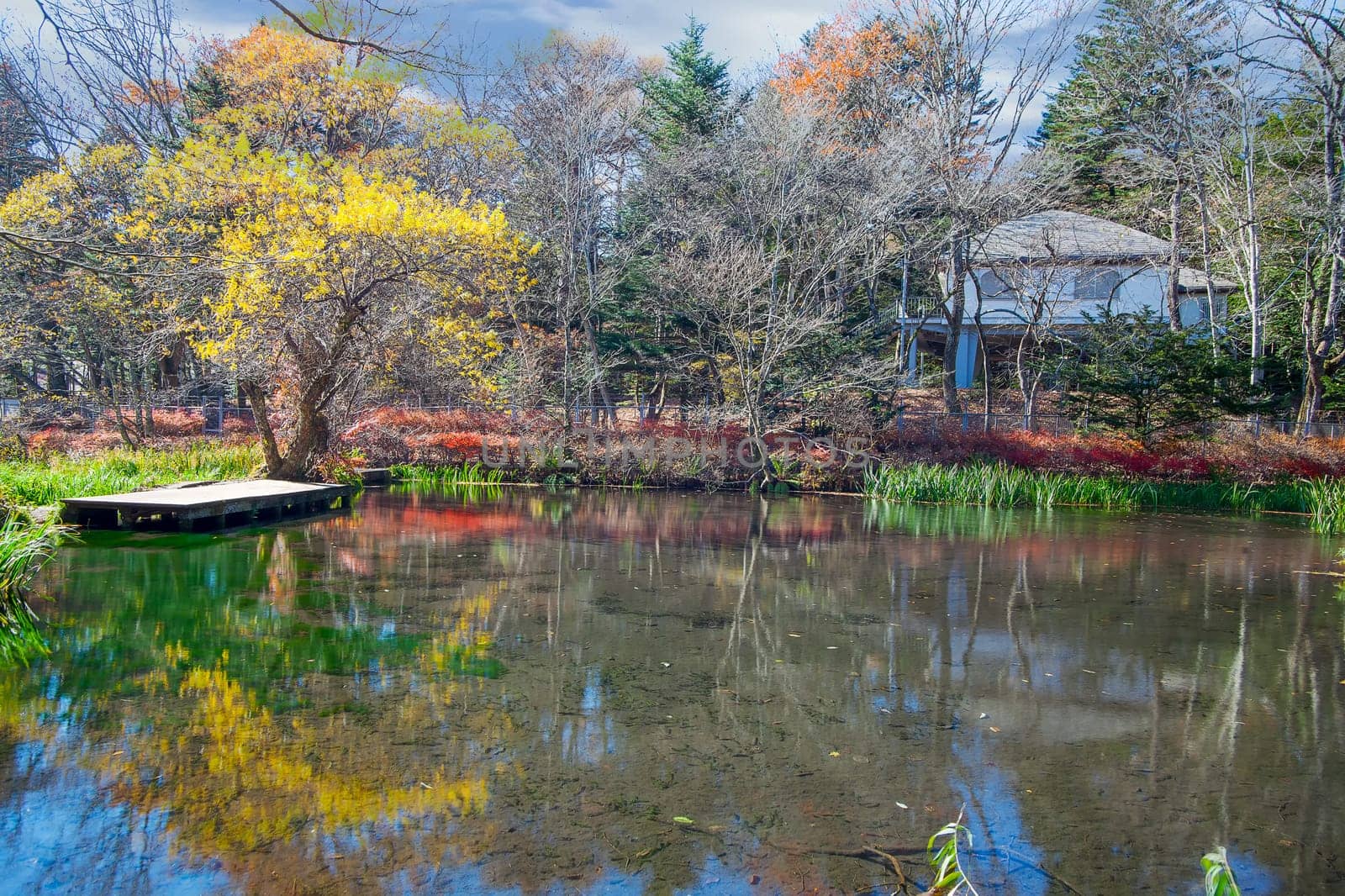 autumn leaves of Karuizawa Cloud Field Pond, Japan