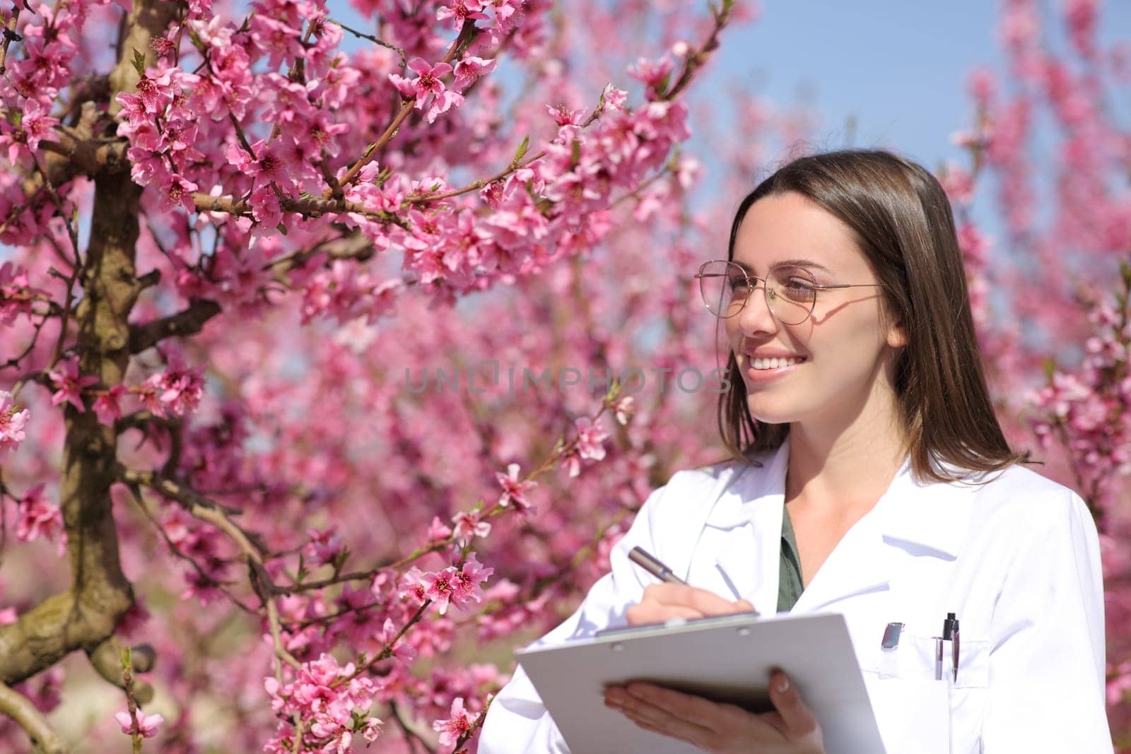 Happy biologist checking flowers of pink peach trees and taking notes in a field