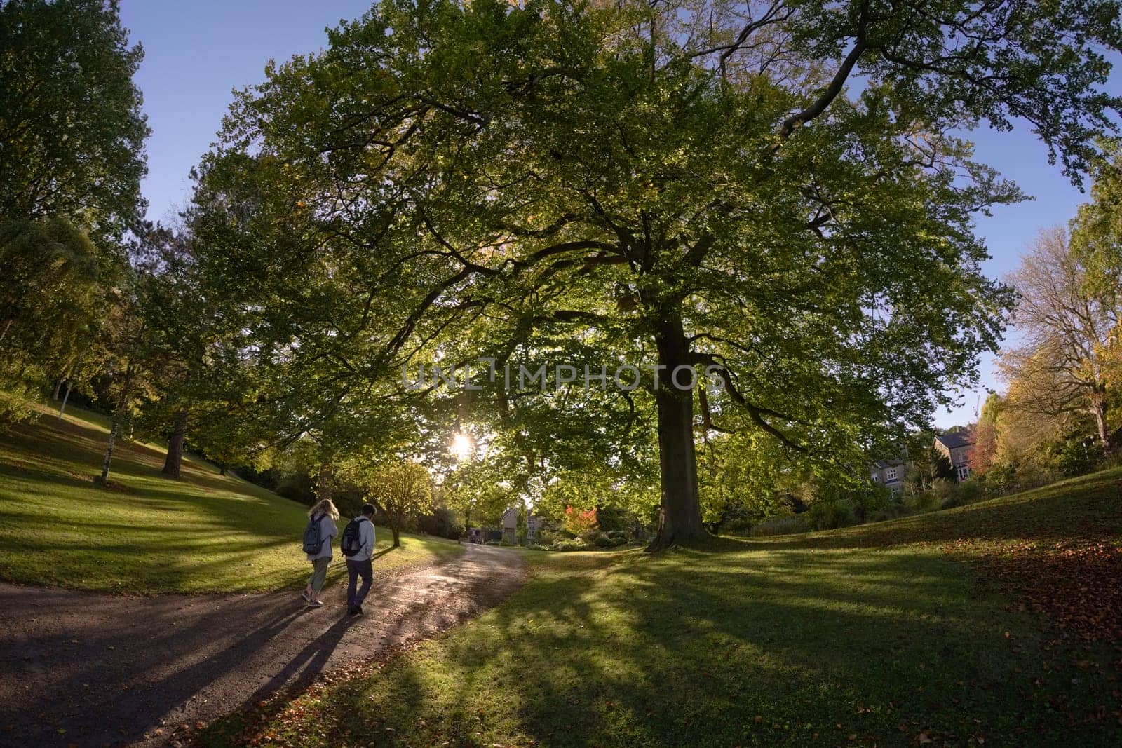 Sheffield, United Kingdom, 21st October, 2021: Young man and woman walk into sunlight near botanical road entrance to sheffield botanical gardens