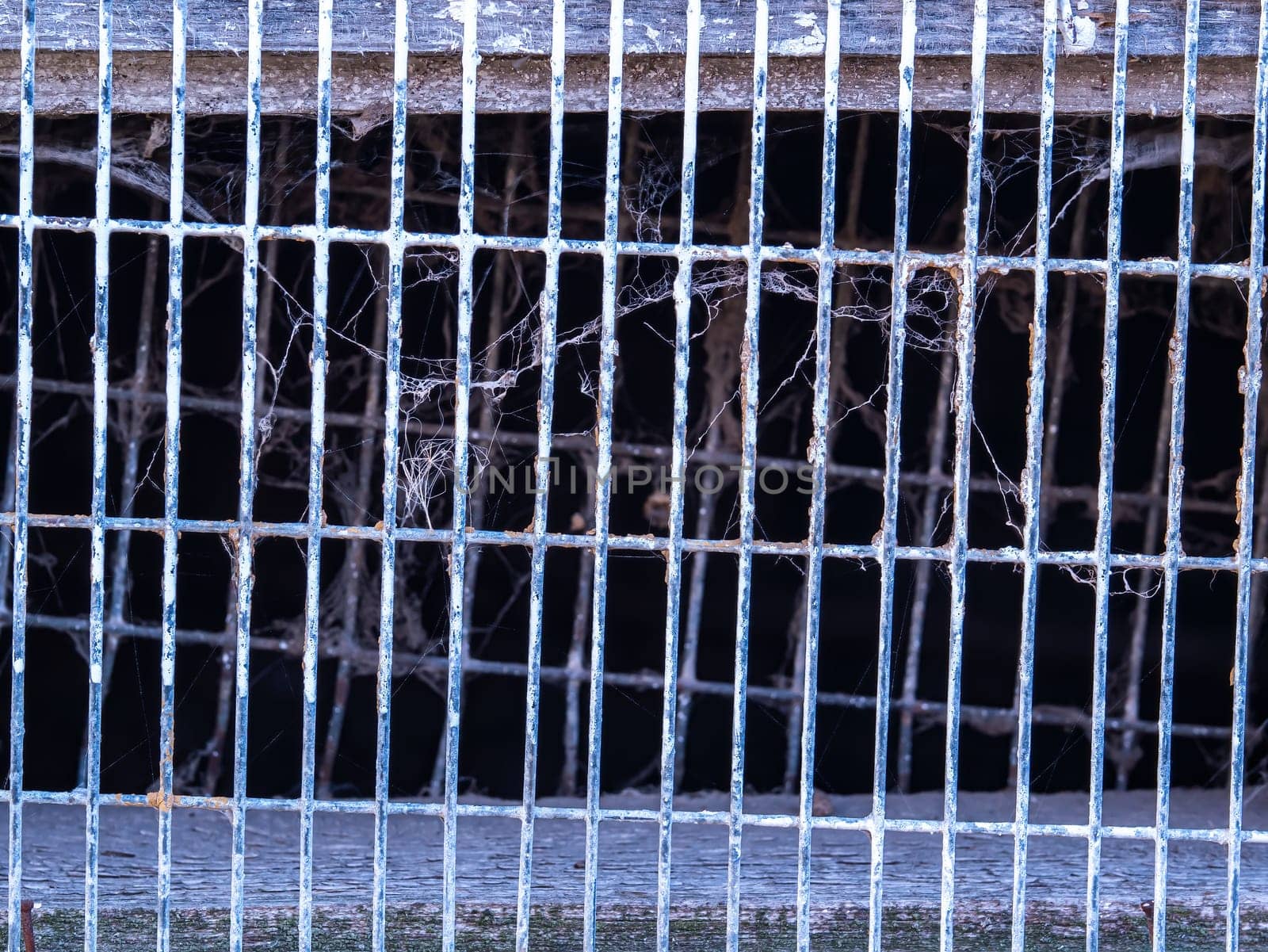 Metal lattice of the cage for keeping farm animals. Place for animals on the farm. Metal grid. Background image. Aging of iron.