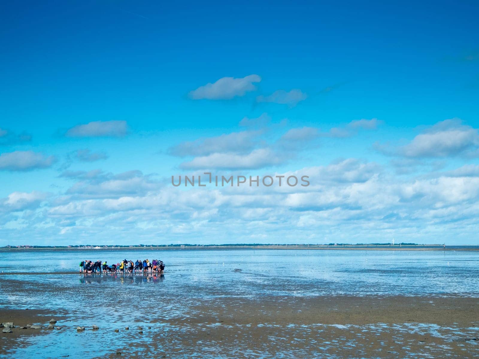 Landscape view of the North German Wadden Sea at low tide with a guided group of mudflat hikers in a blue sky with clouds.