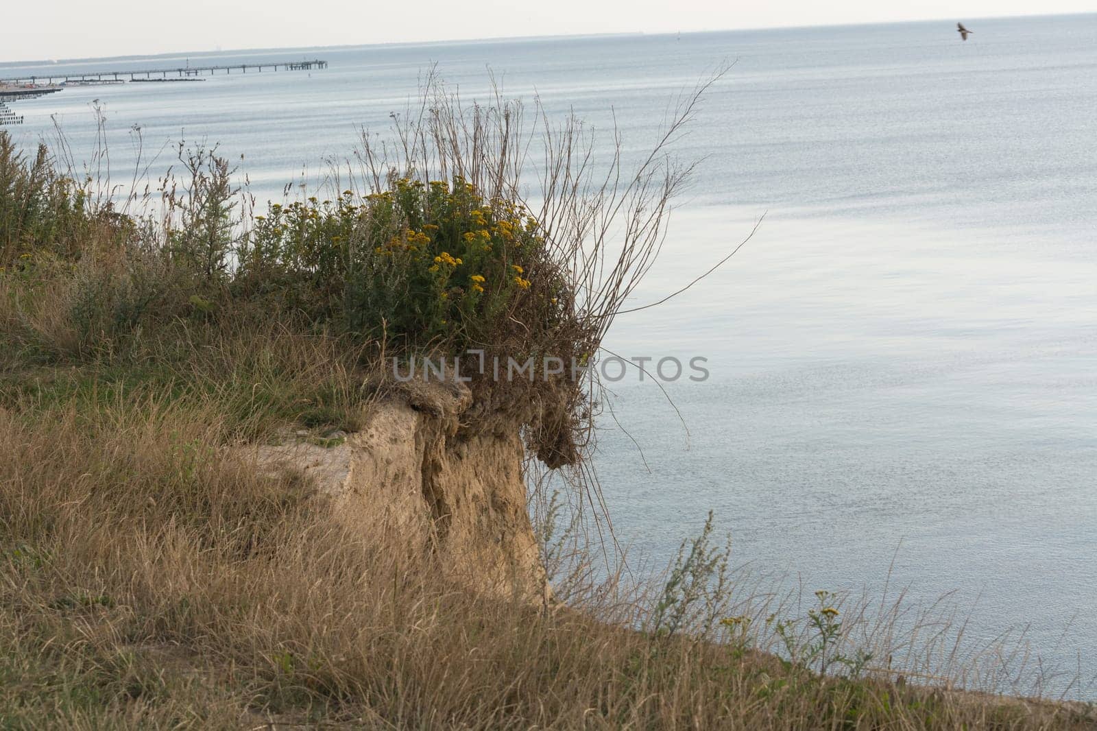 Steep coast on the Baltic Sea near Ahrenshoop