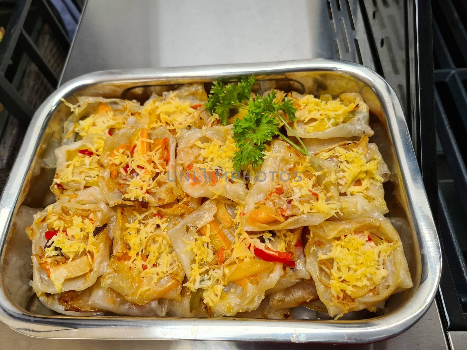 Japanese dumplings - Gyoza with pork meat and vegetables on a plate