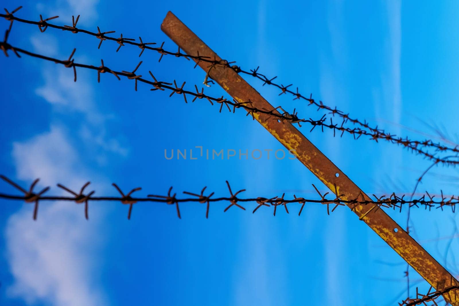 barbed wire on a fringe of clear blue sky