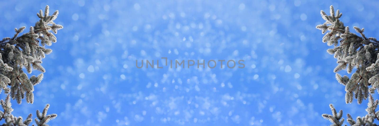 Christmas background fir branches with snowflakes against blue sky