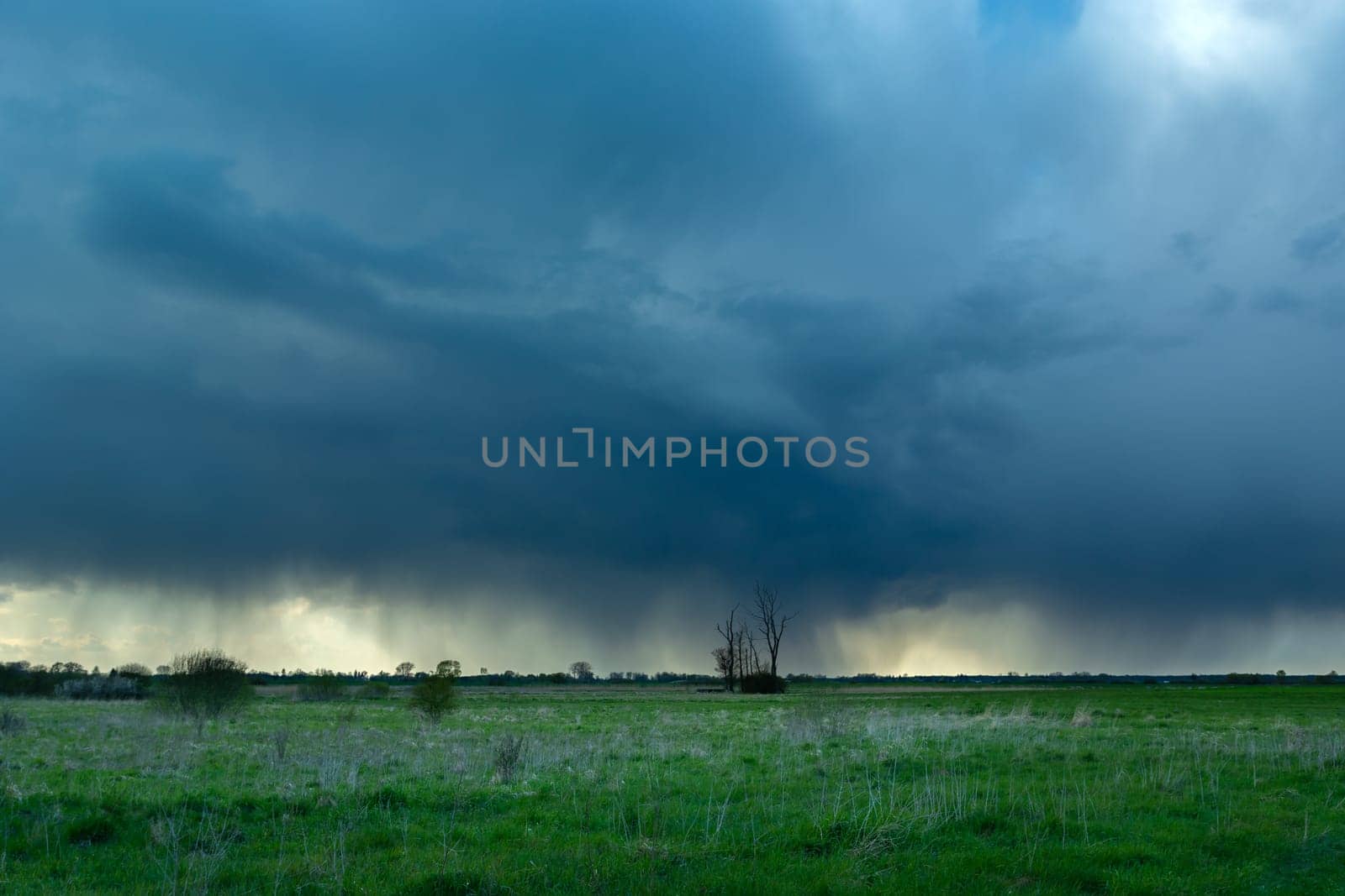 Rainy cloud over the meadows and lonely trees, Czulczyce, Lubelskie, Poland