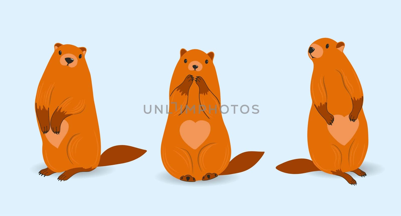 Marmot. SET of characters. Groundhog day. Beavers isolated. Vector illustration. Rodents. Harbingers of Spring