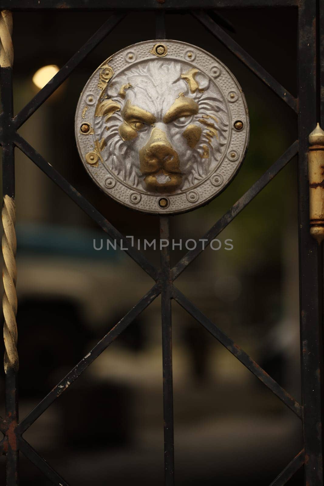 beautiful wrought iron gates, the head of a lion.